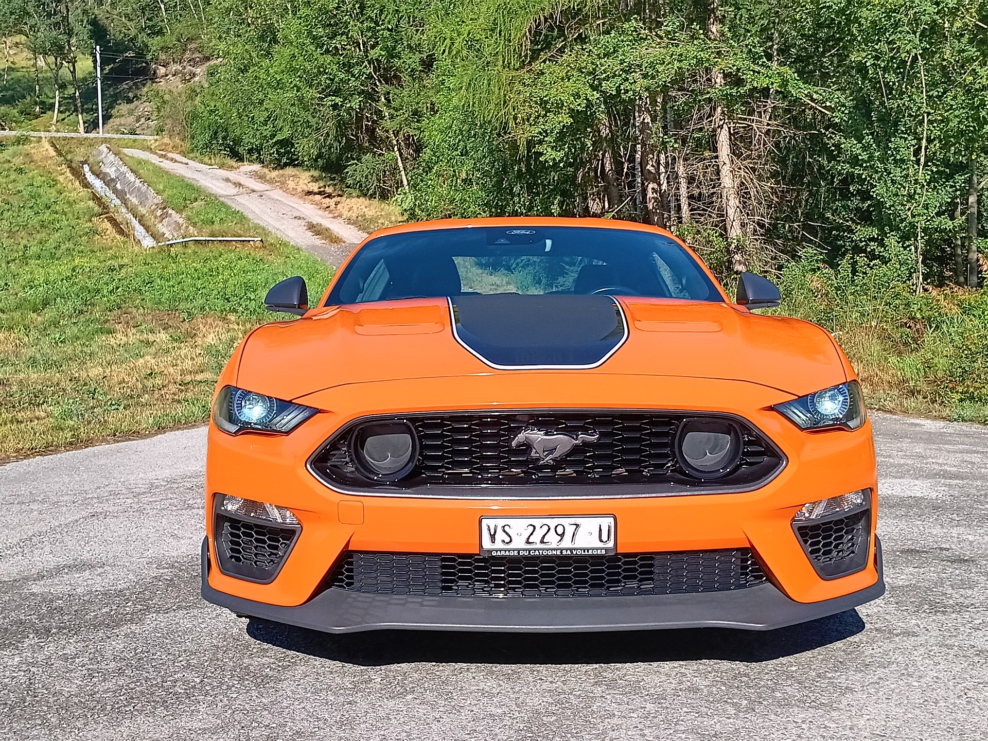 FORD Mustang Fastback 5.0 V8 Mach 1 Automat-image-4