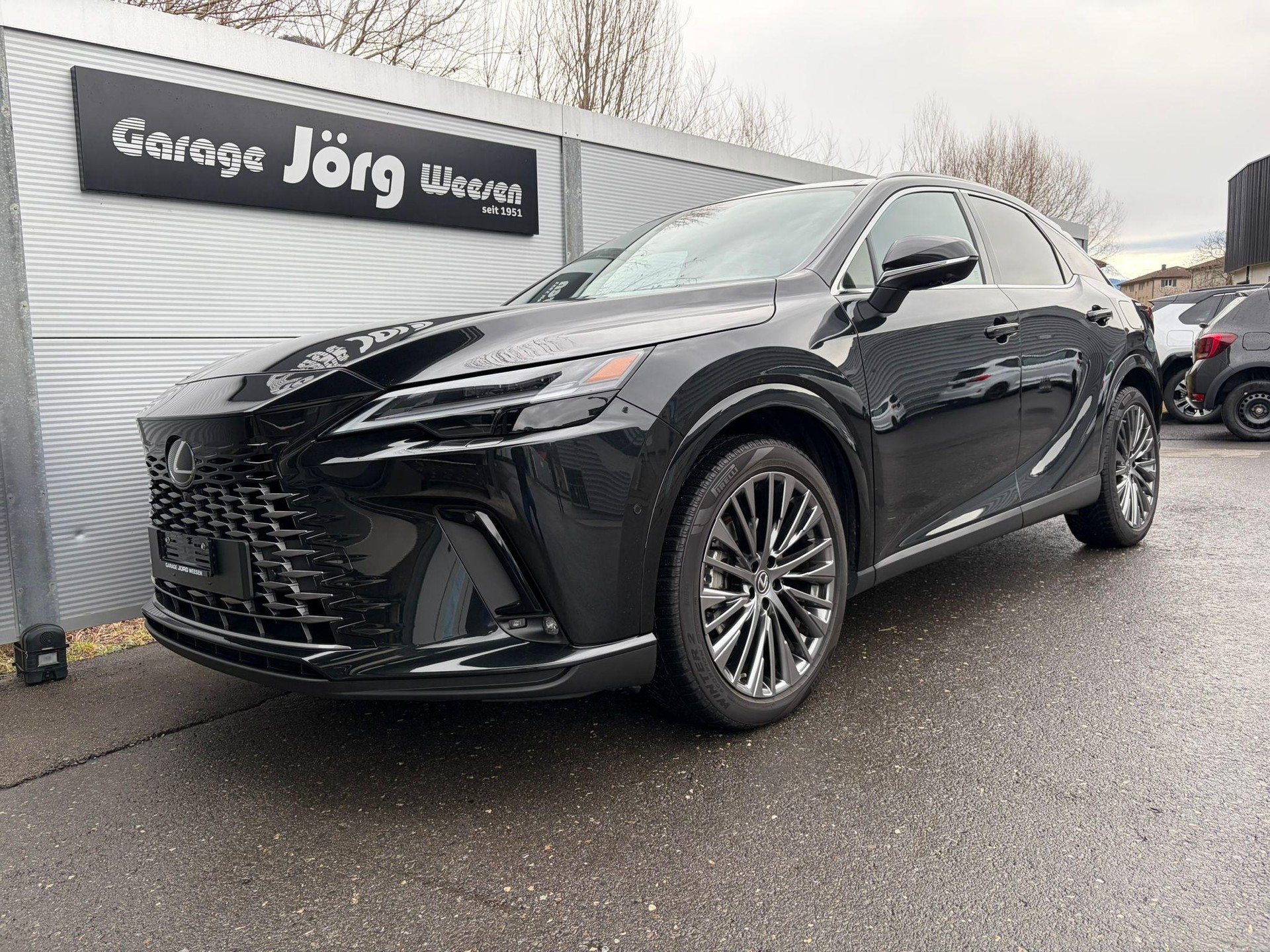 LEXUS RX 450h+ Excellence-image-0