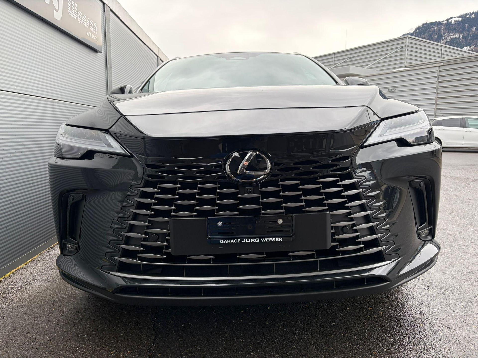 LEXUS RX 450h+ Excellence-image-1