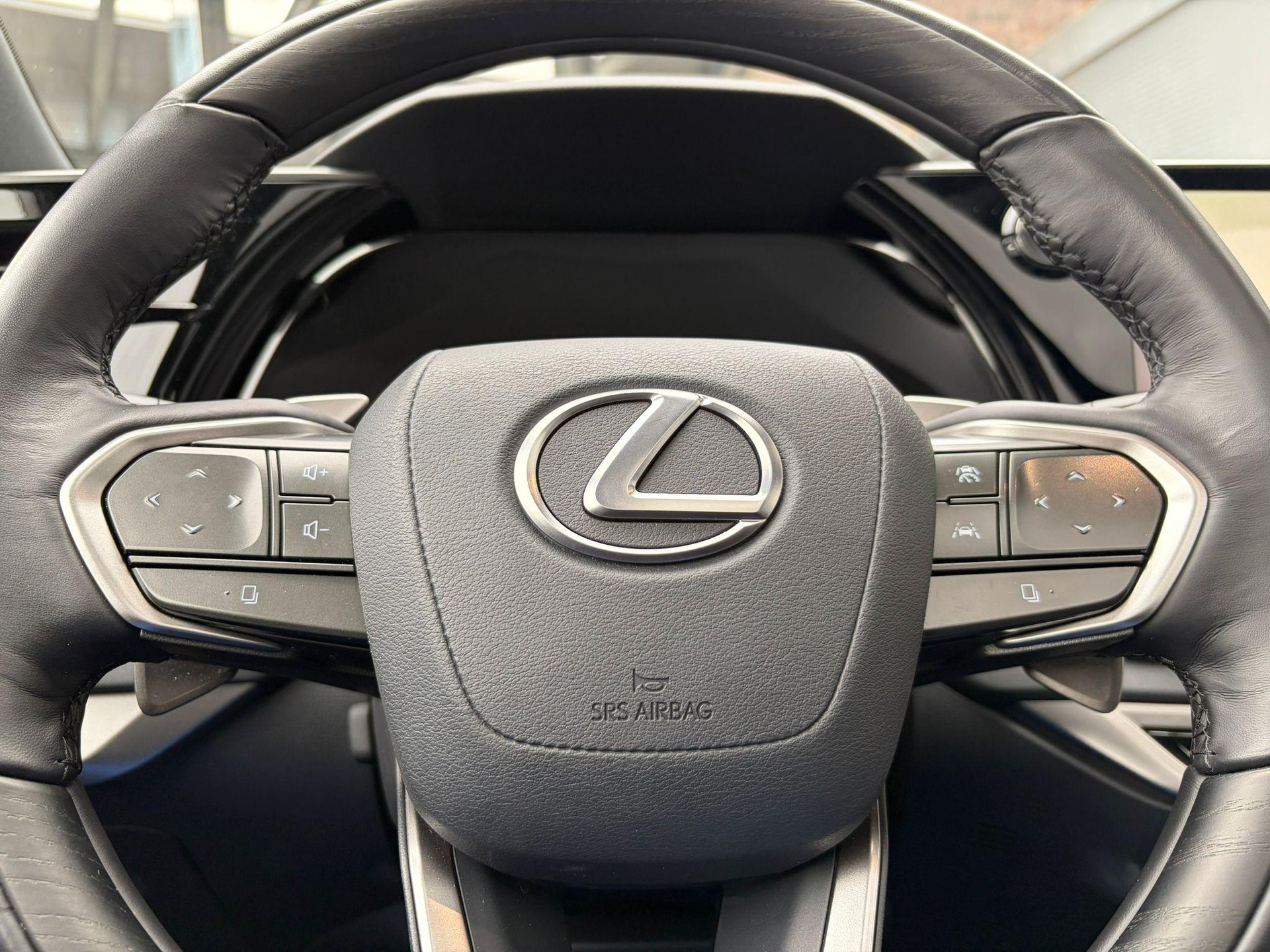 LEXUS RX 450h+ Excellence-image-8