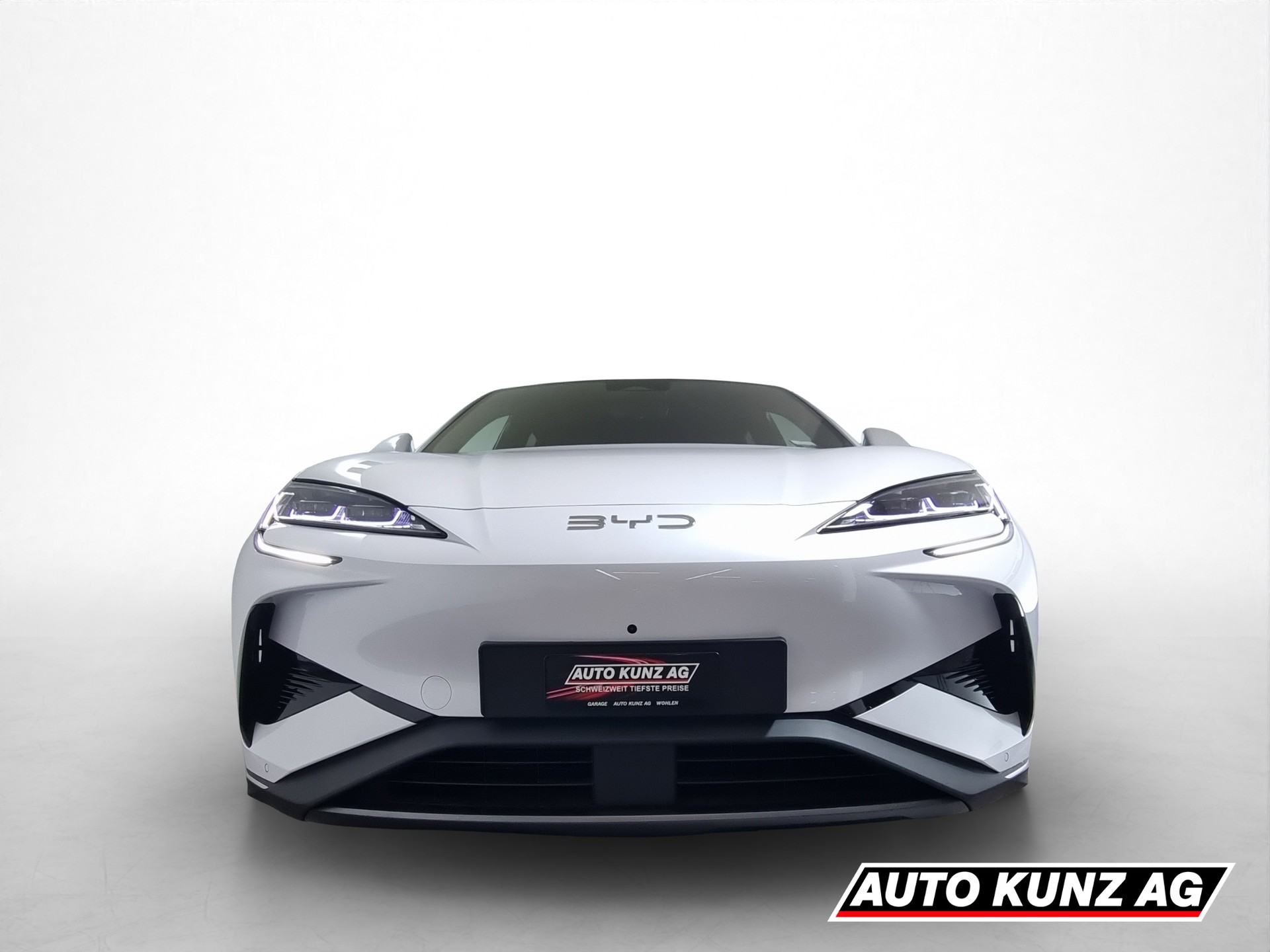 BYD Sealion 7 91,3 kWh Excellence AWD-image-1