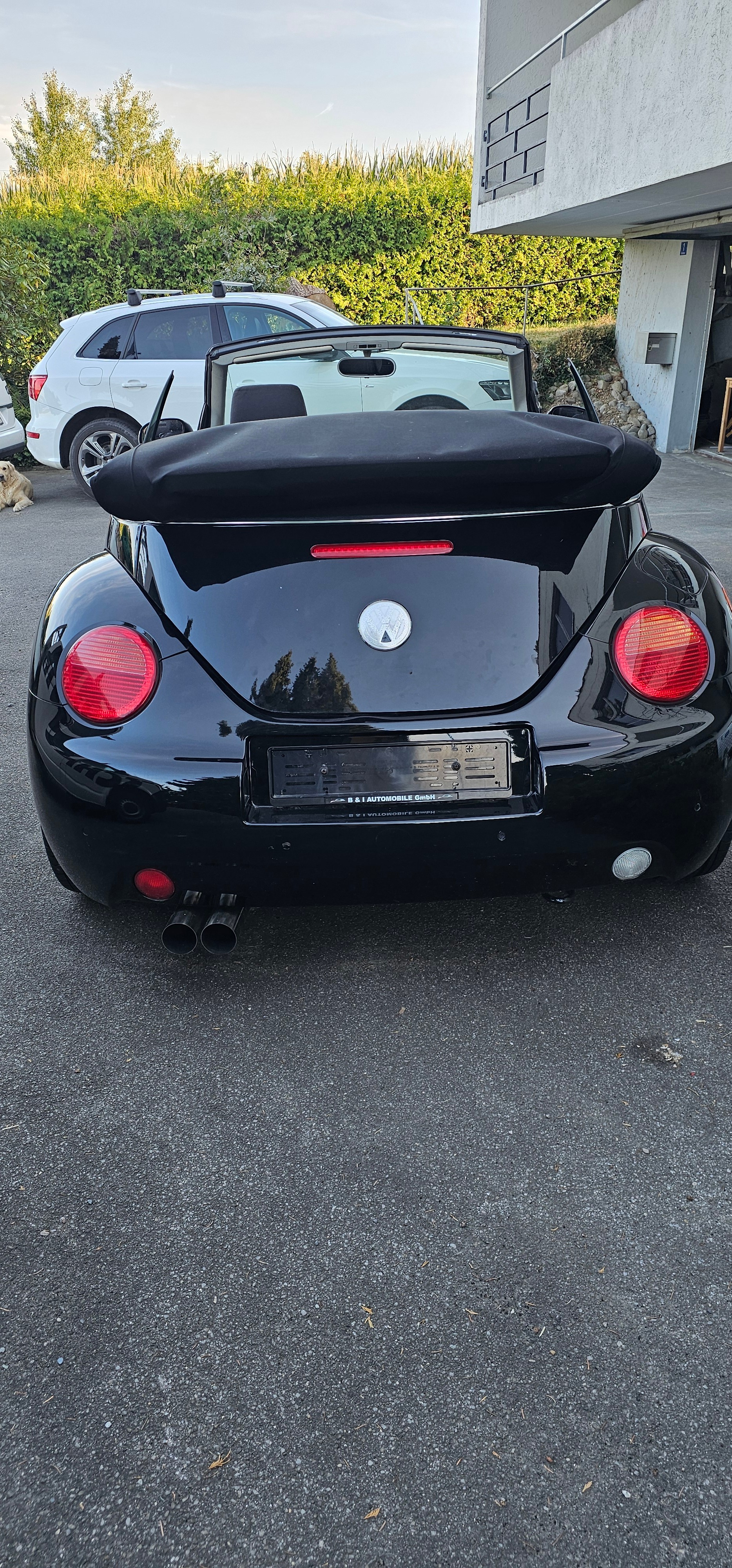 VW 1.6-image-3