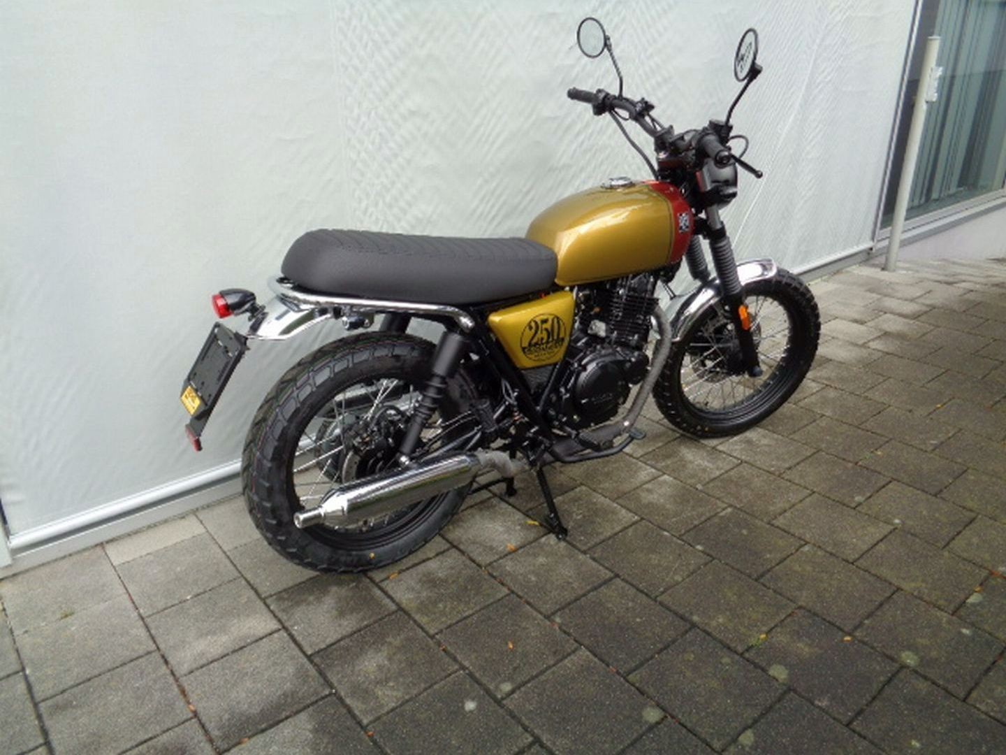 BRIXTON Cromwell 250-showroom-element-1