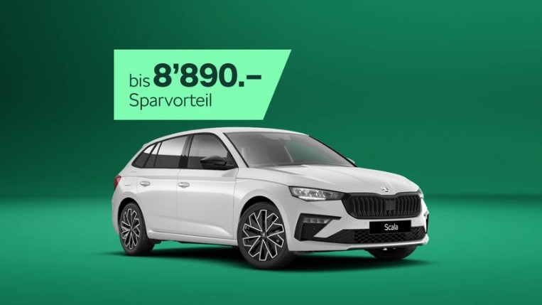 SKODA Scala 1.0 TSI Dynamic DSG-image-19