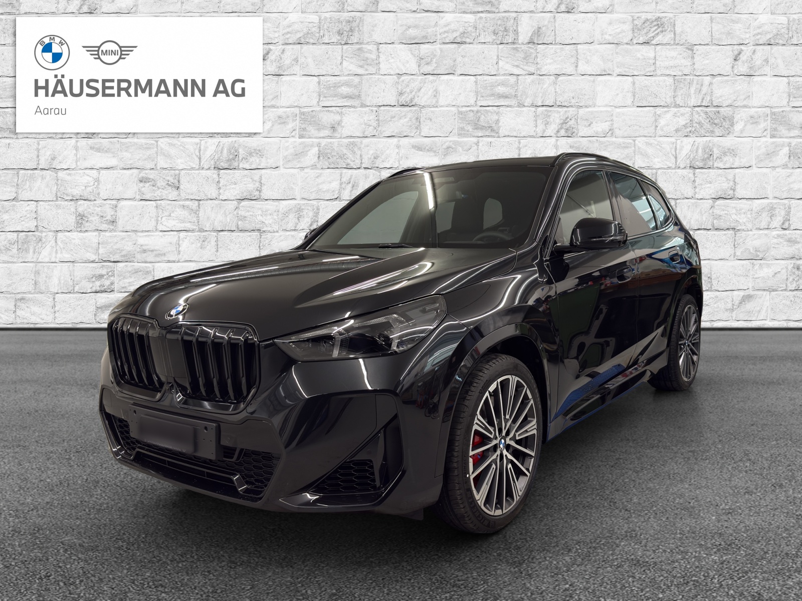 BMW X1 xDrive 23i 48V M Sport Pro-image-0
