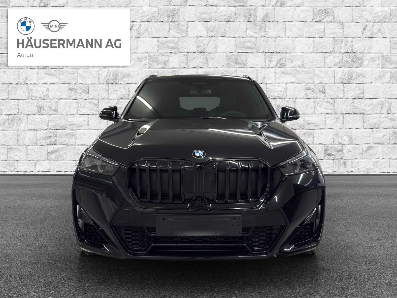 BMW X1 xDrive 23i 48V M Sport Pro-image-1
