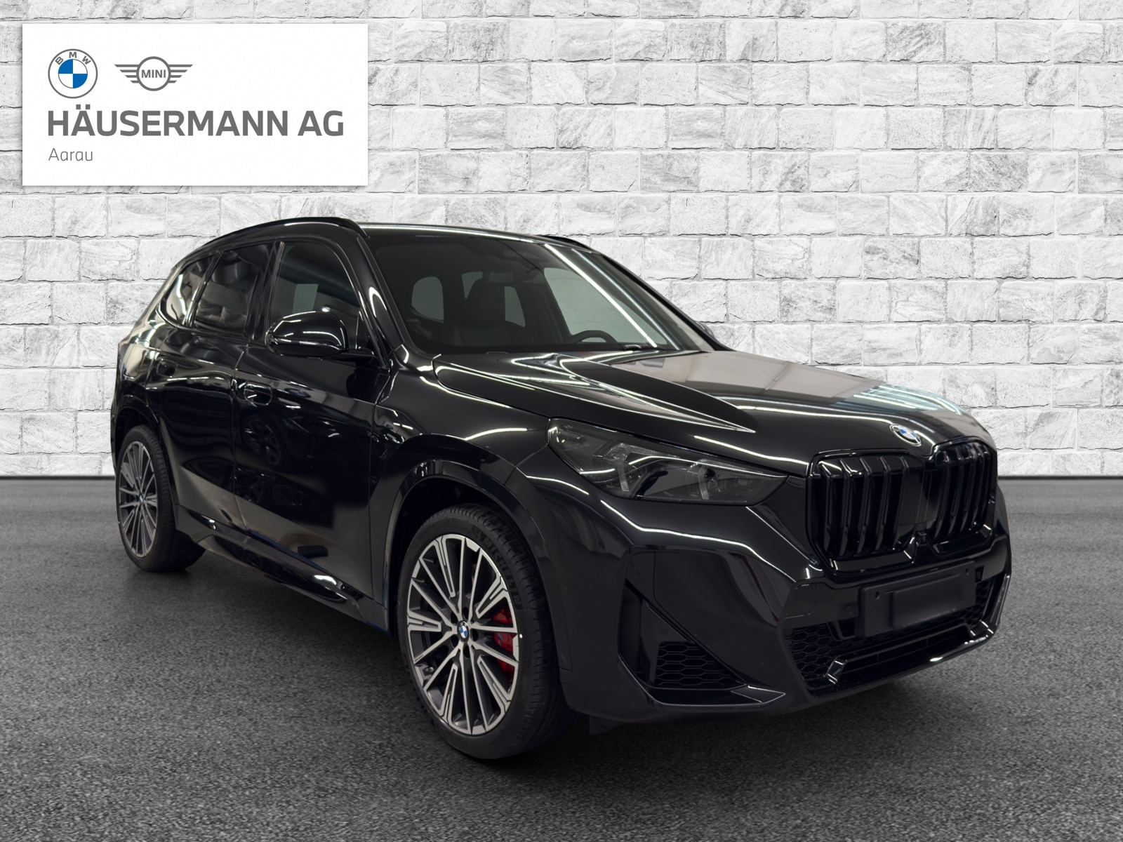 BMW X1 xDrive 23i 48V M Sport Pro-image-2