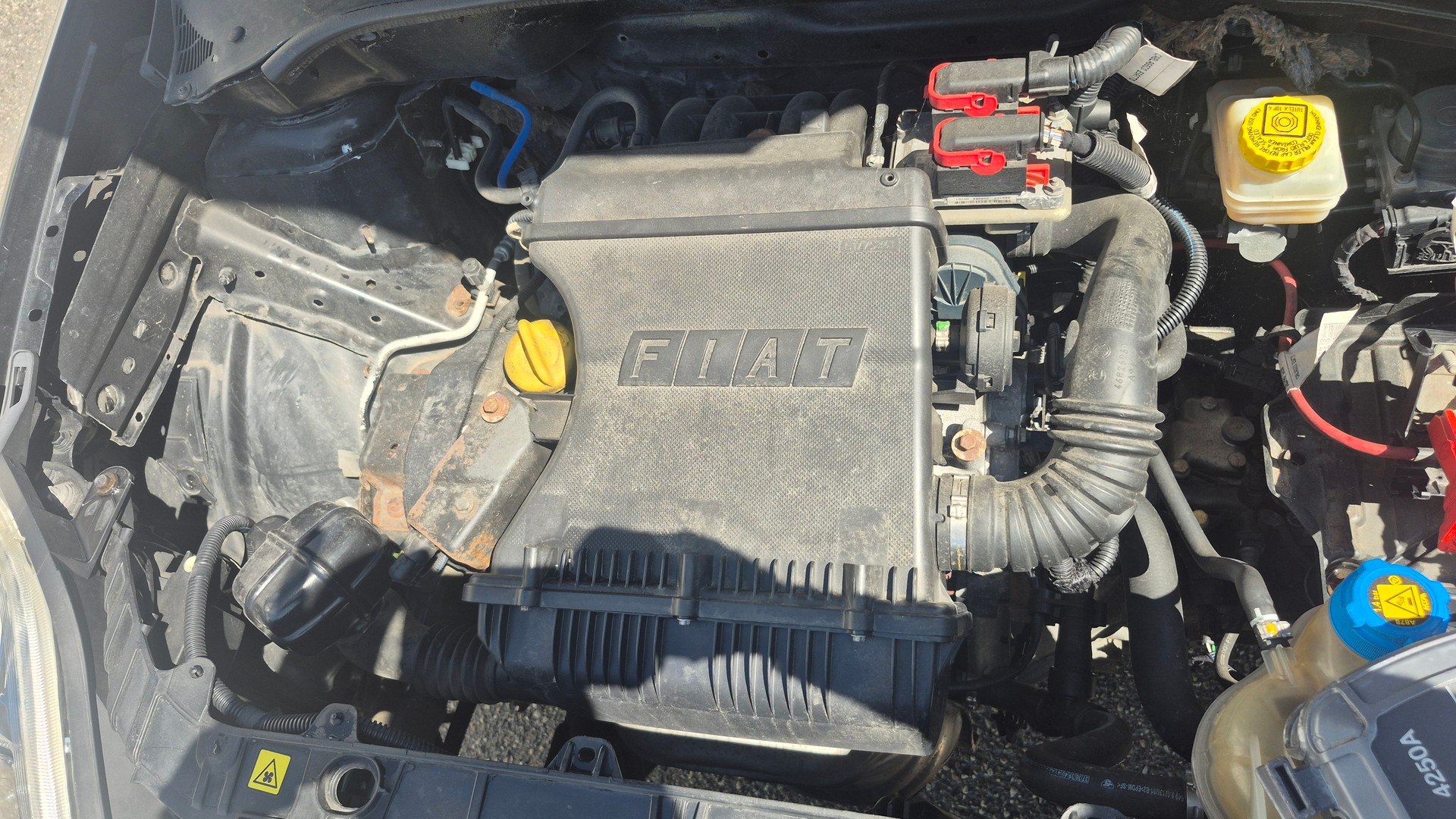 FIAT Punto 1.4 16V Freestyle-image-8