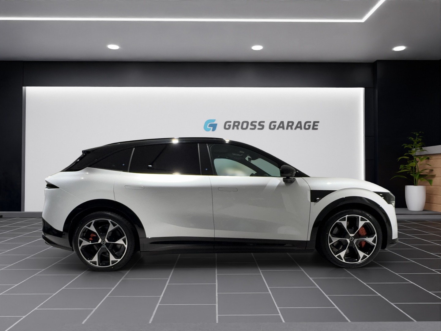ZEEKR 7X 100kWh Privilege AWD-image-3
