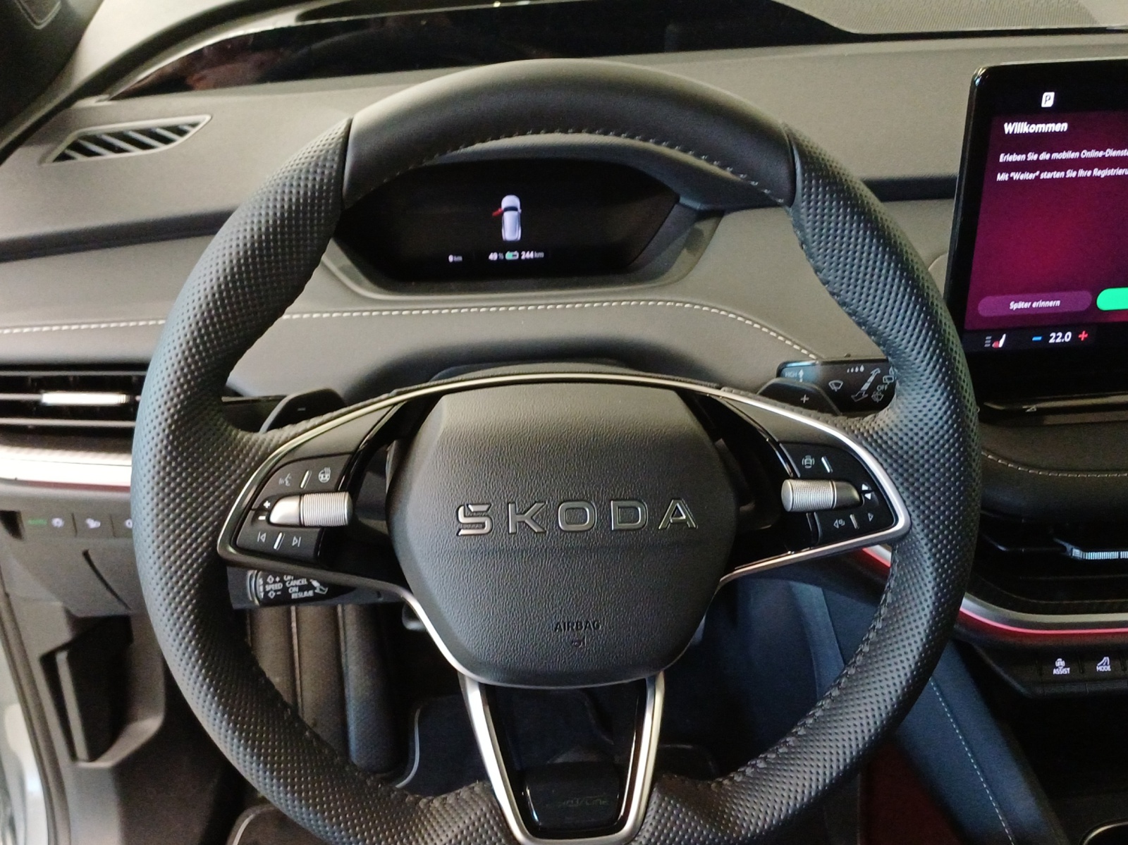 SKODA Enyaq 85x Sportline 4x4-image-9