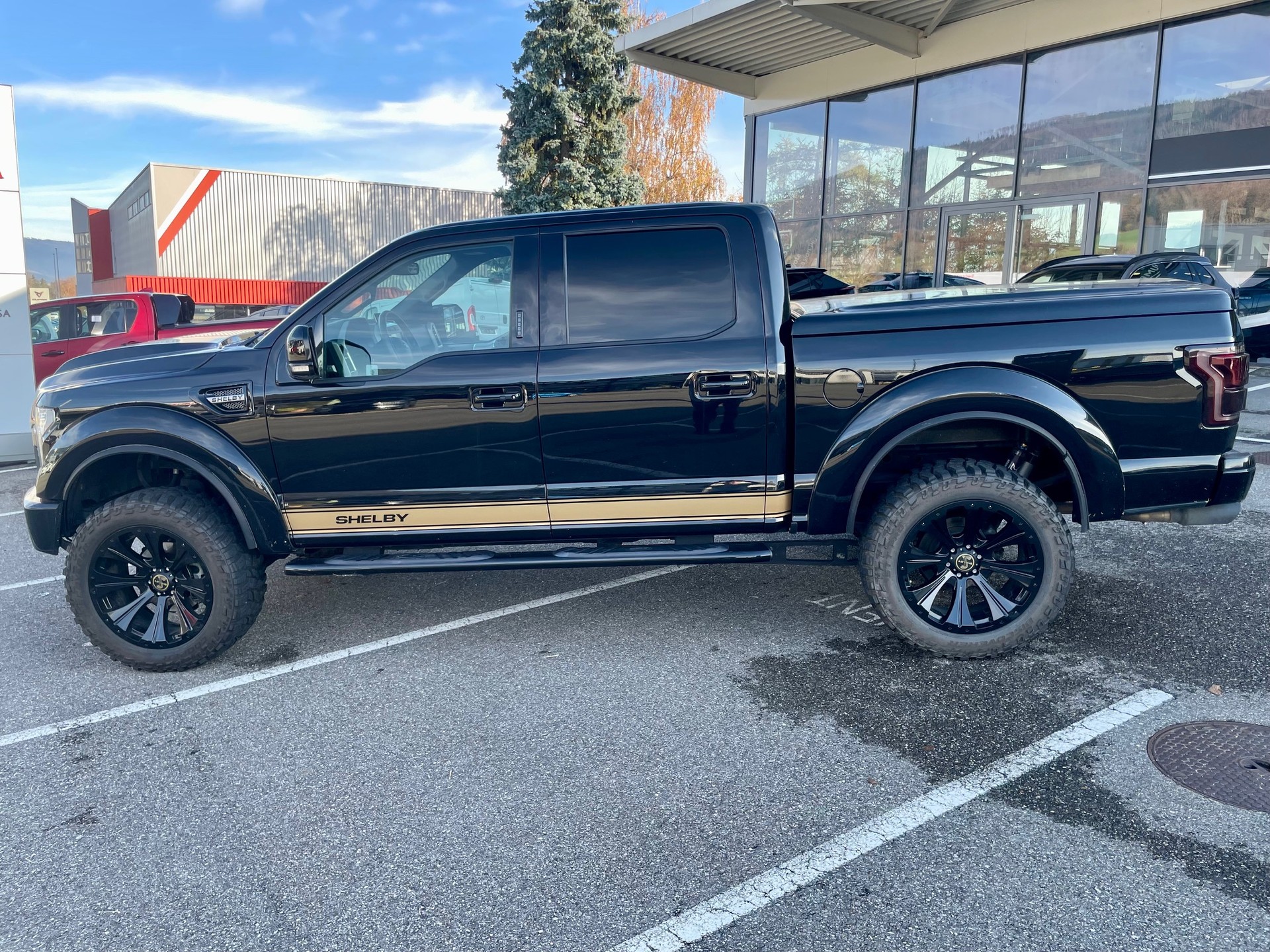 FORD Shelby F150 Offroad-image-2