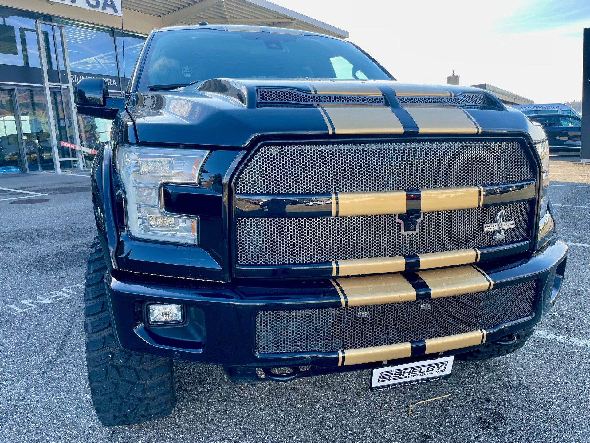 FORD Shelby F150 Offroad-image-1