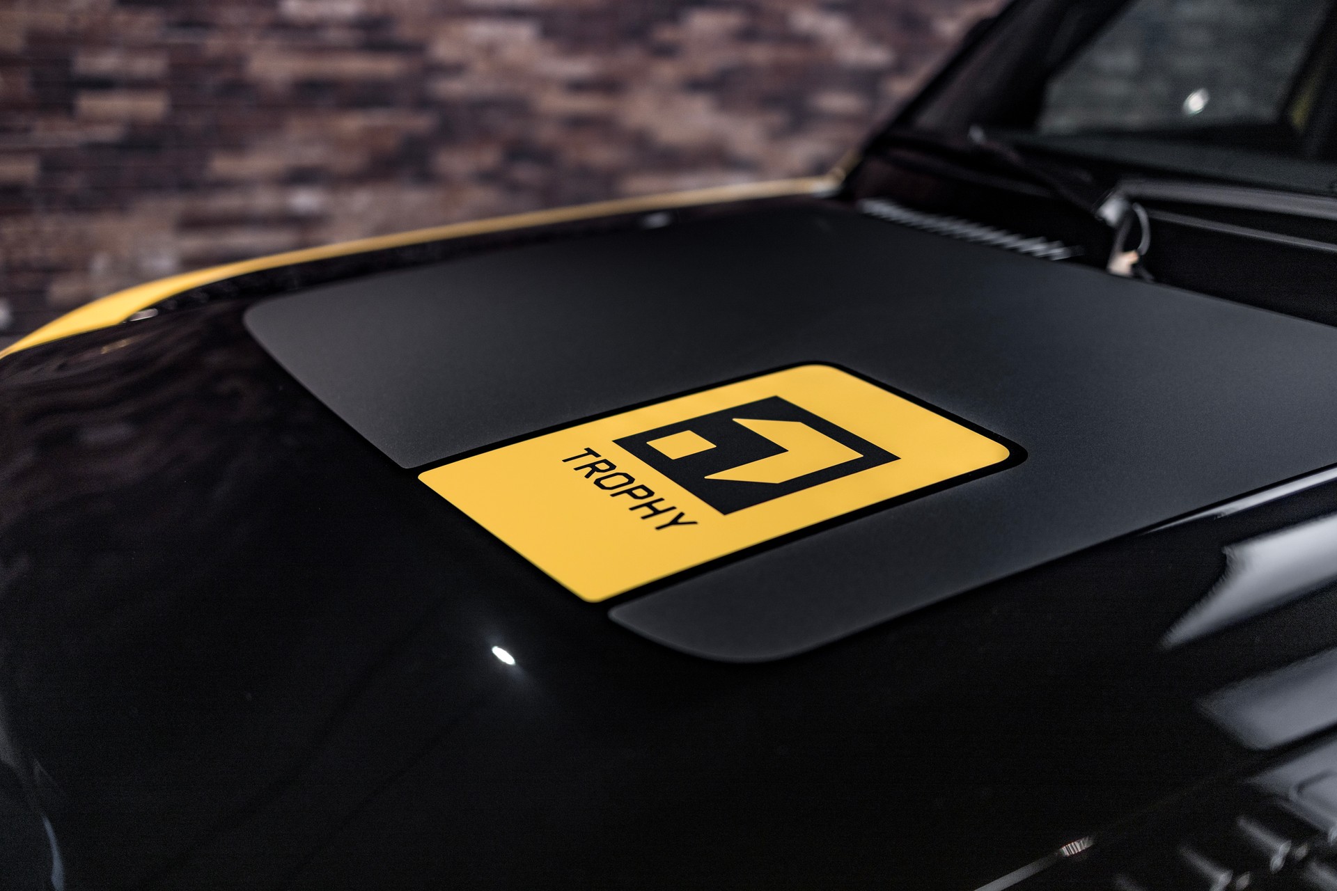 LAND ROVER Defender 110 3.0 D I6 350 Trophy Edition Yellow AWD AT8-image-11