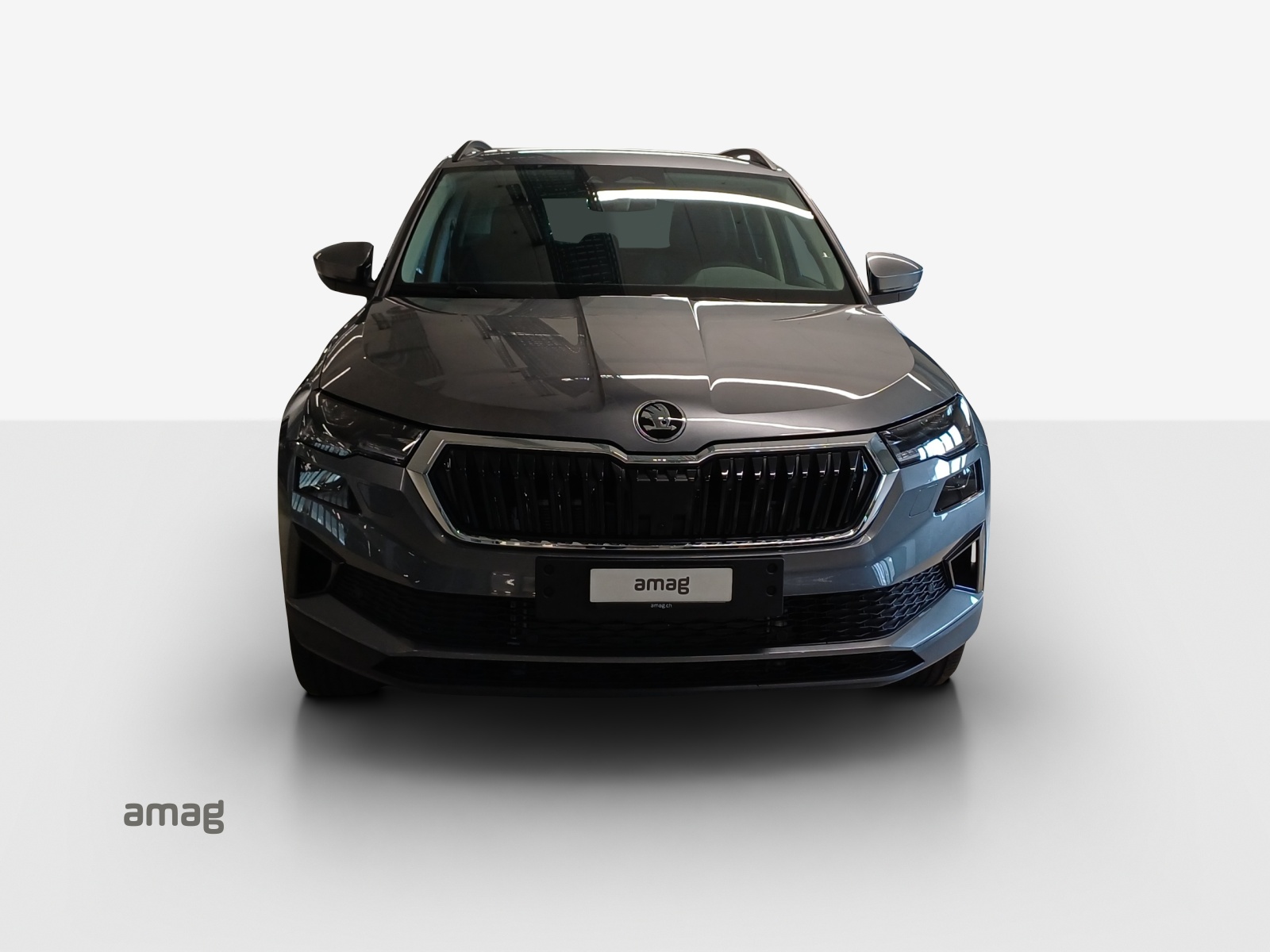 SKODA Karoq 1.5 TSI Dynamic DSG-image-6