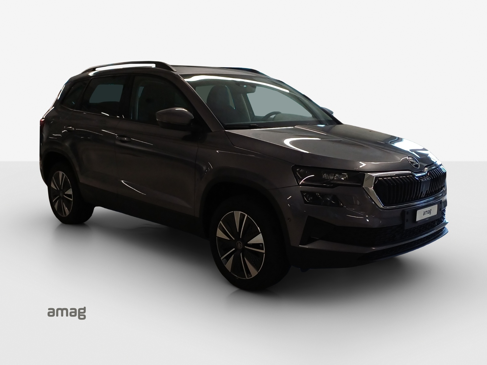 SKODA Karoq 1.5 TSI Dynamic DSG-image-5