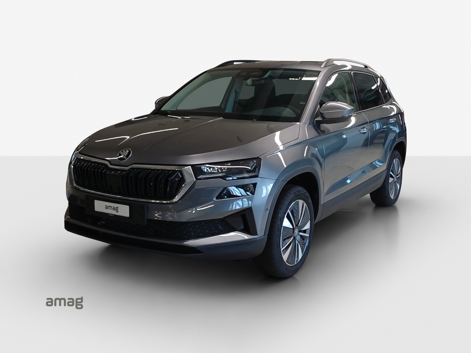 SKODA Karoq 1.5 TSI Dynamic DSG-image-0