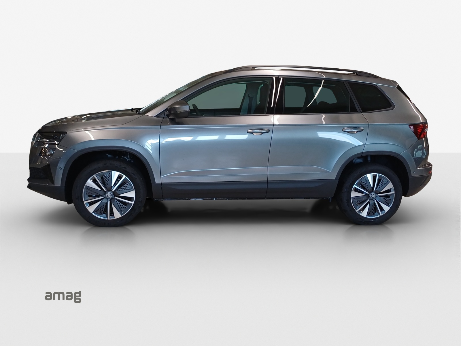 SKODA Karoq 1.5 TSI Dynamic DSG-image-1