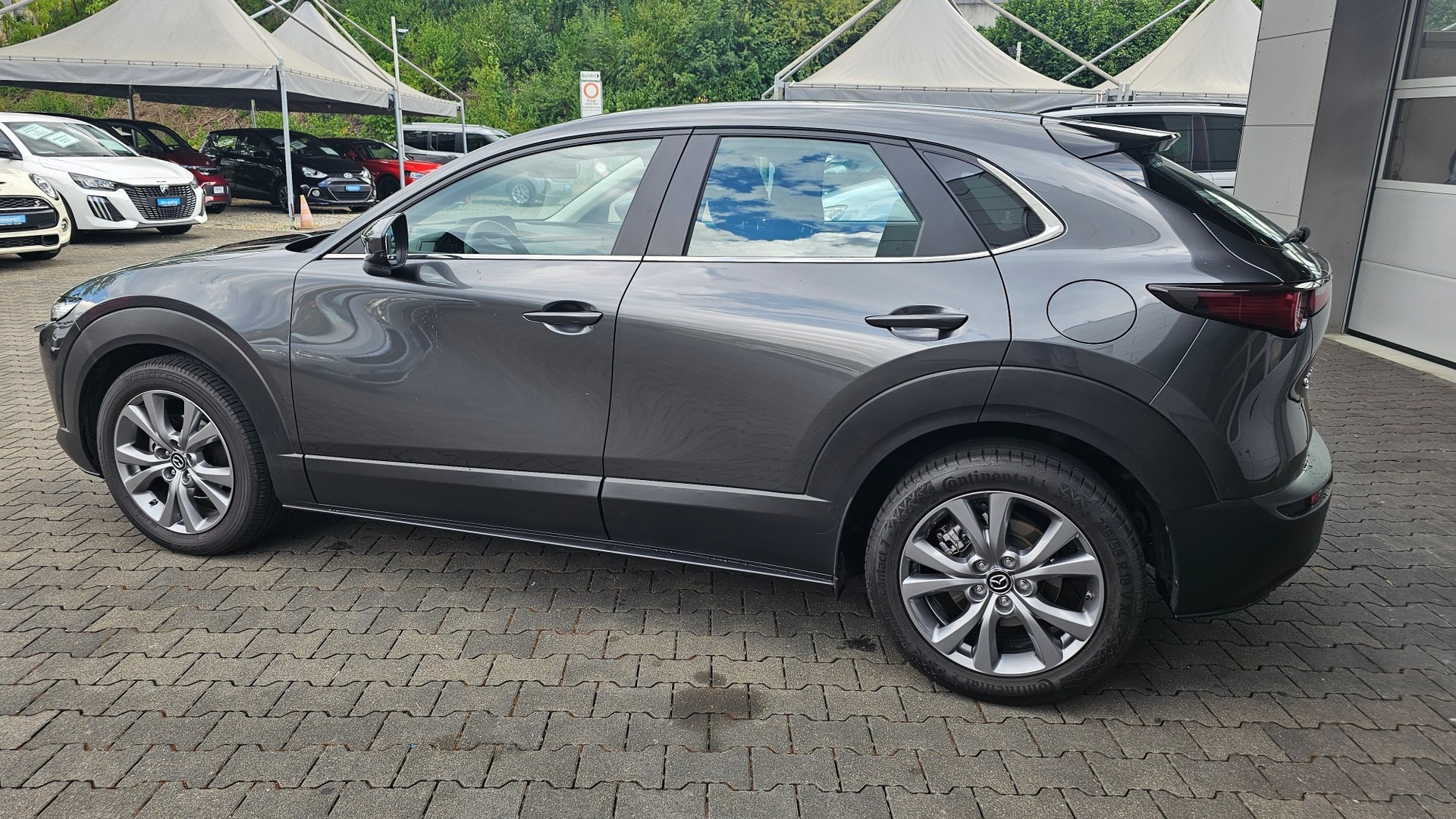 MAZDA CX-30 SKYACTIV-G 150 M Hybrid AWD Ambition Plus Automat-image-12