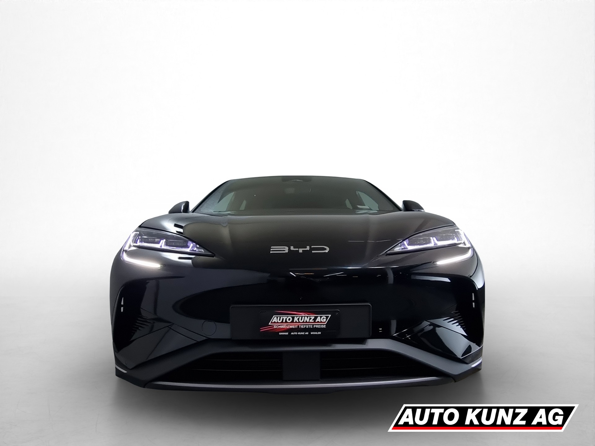 BYD Sealion 7 91,3 kWh Excellence AWD-image-1