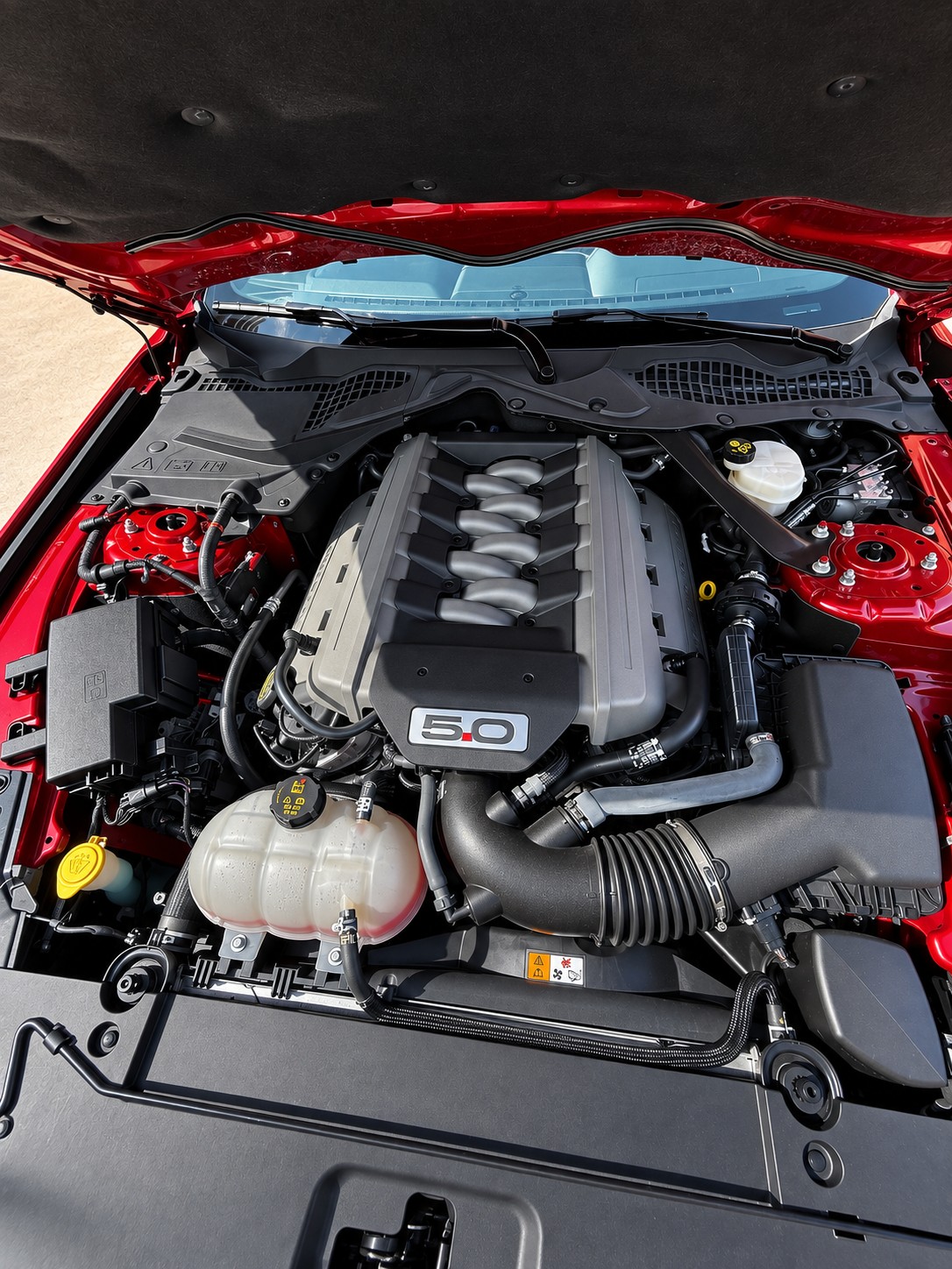 FORD 5.0 V8 GT-image-8