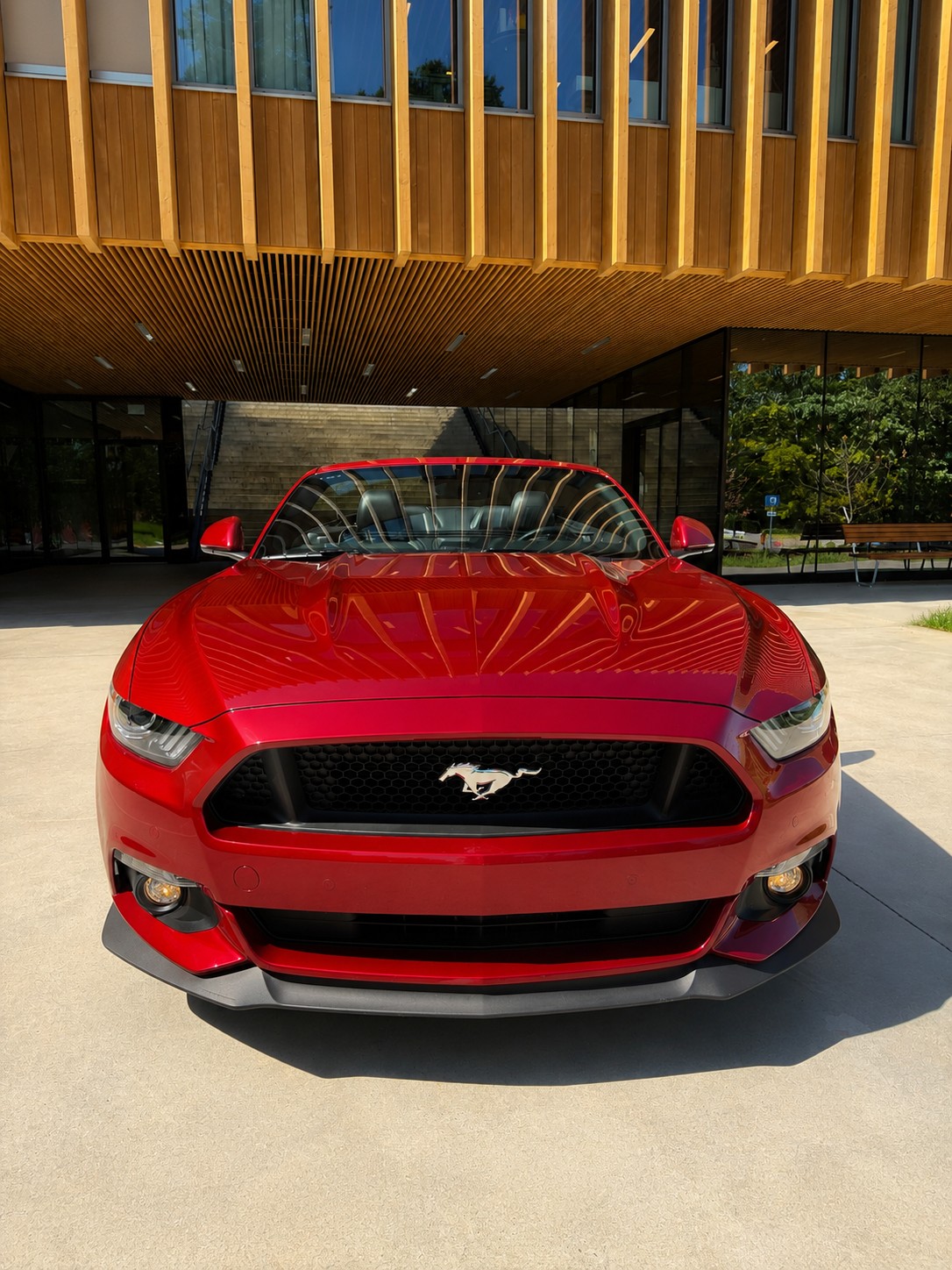 FORD 5.0 V8 GT-image-6