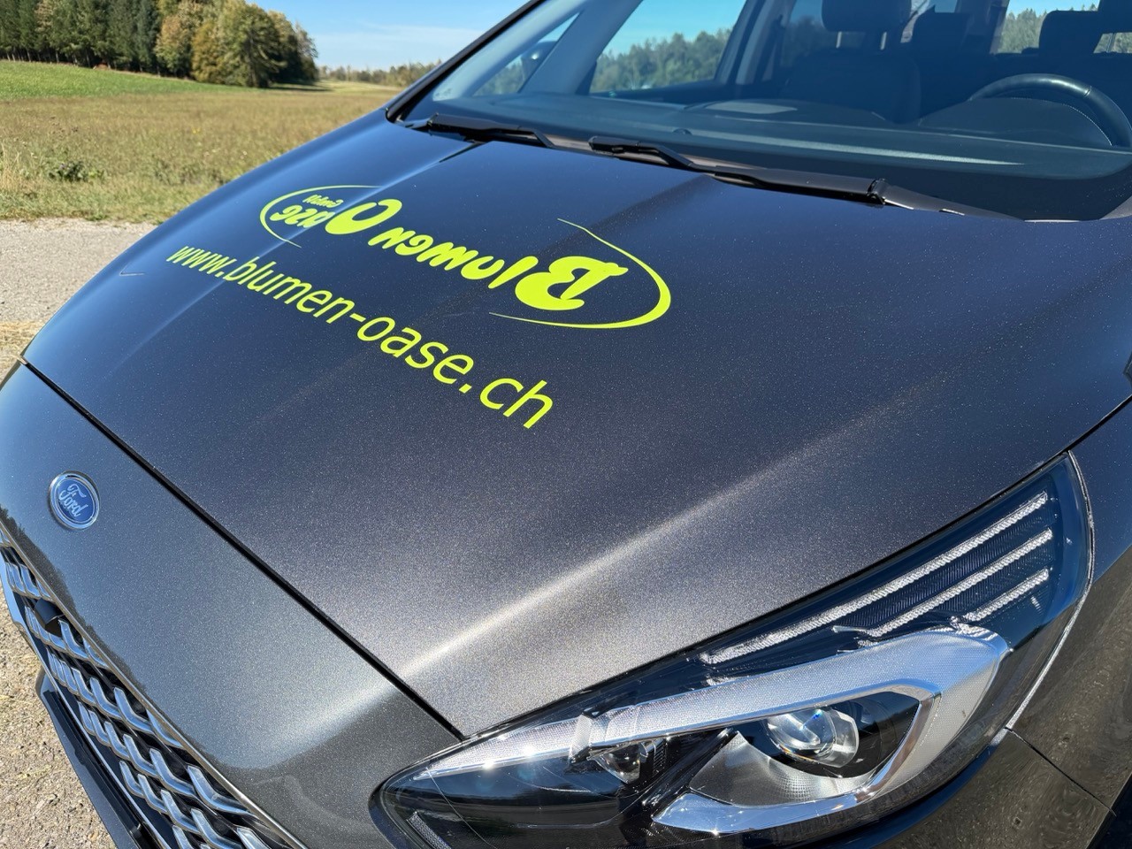FORD Galaxy 2.5 Hybrid Vignale 7P-image-9