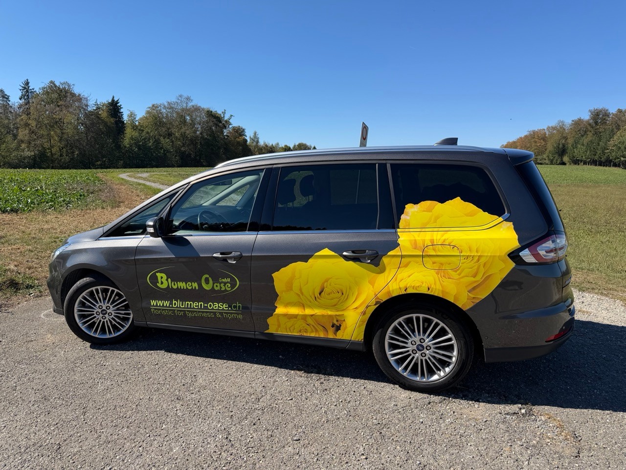 FORD Galaxy 2.5 Hybrid Vignale 7P-image-10