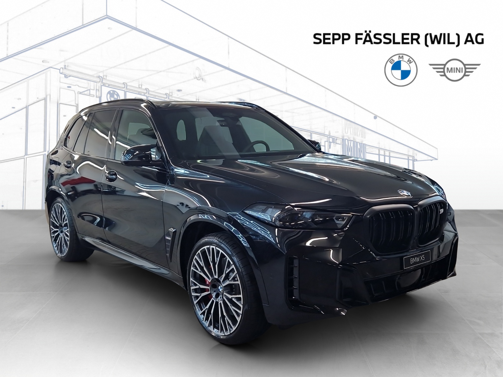 BMW X5 xDrive 48V M60i M Sport Pro Steptronic-showroom-element-2
