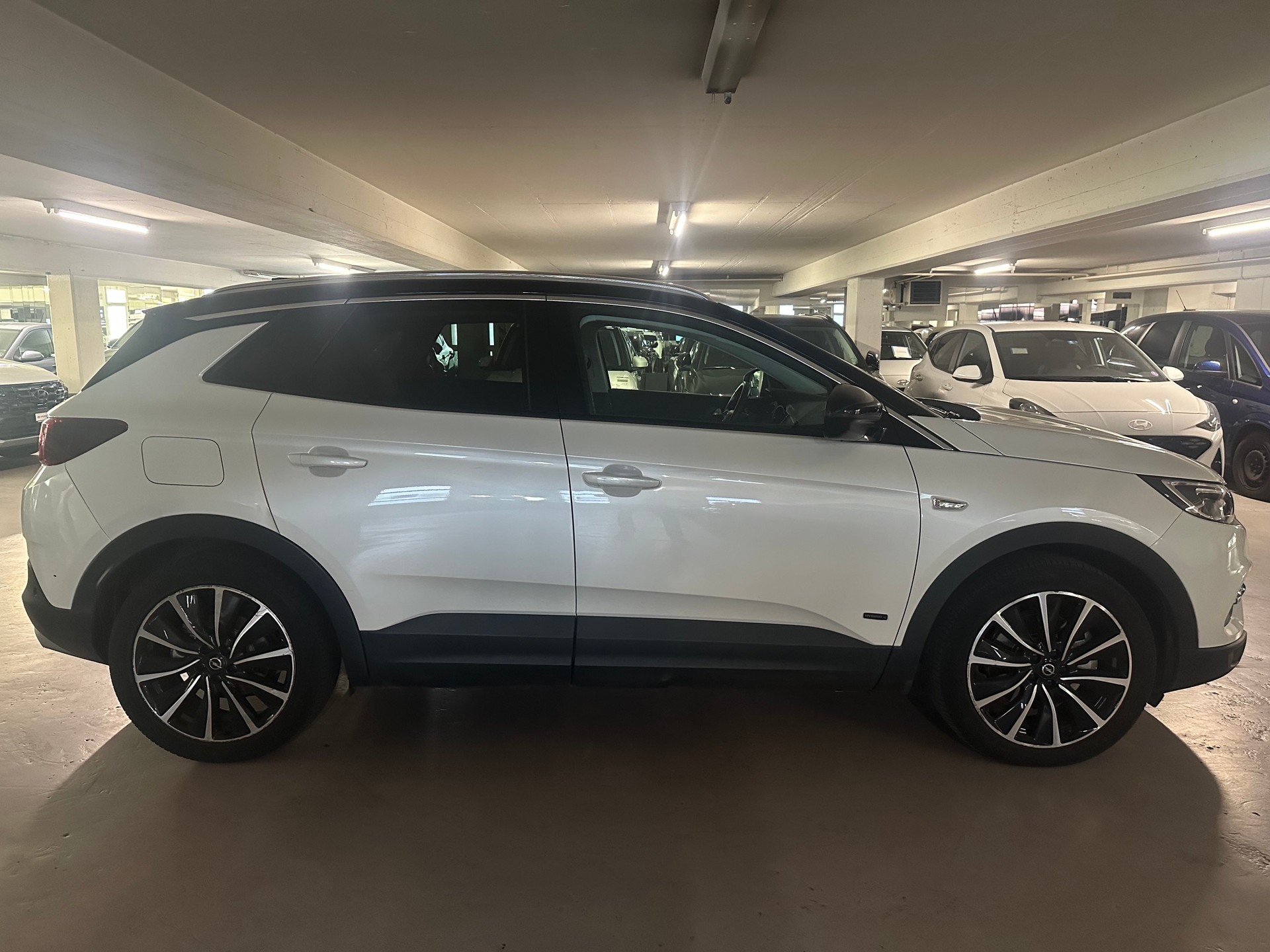 OPEL Grandland X 1.6 Hybrid4 Excellence Automatik-image-5