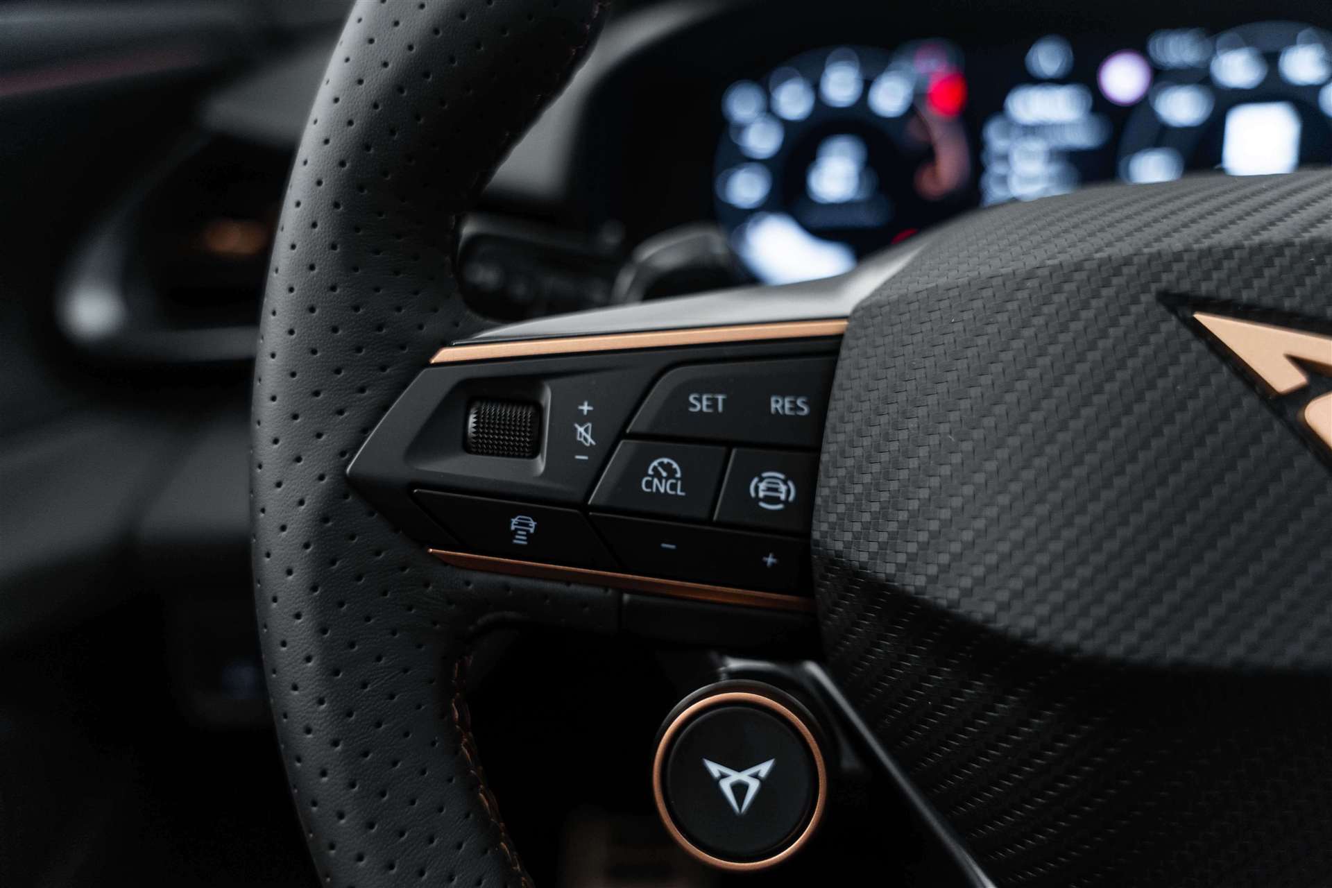 CUPRA CUPRA Terramar 2.0 TSi 4Drive VZ 265PS DSG-image-18