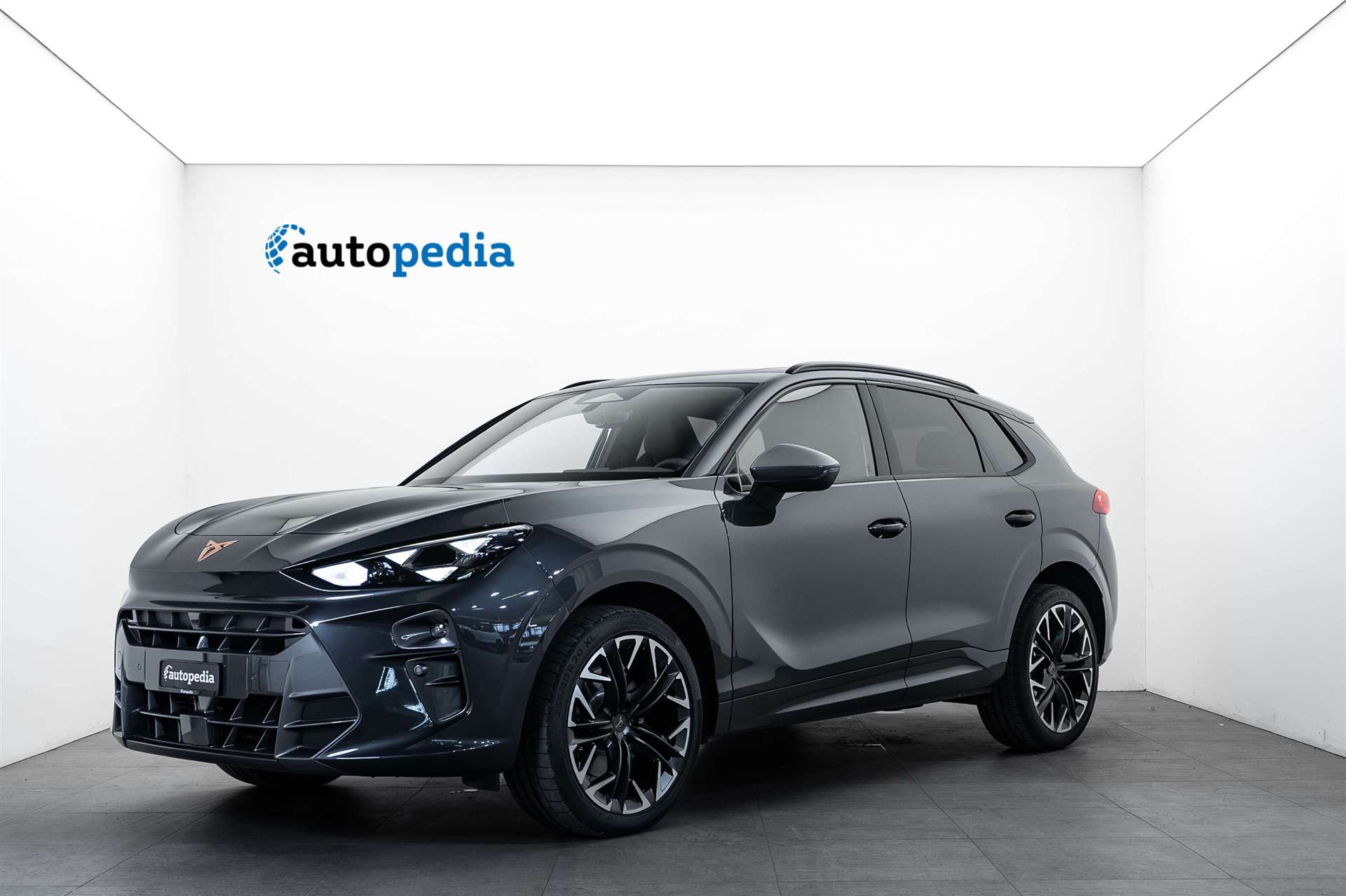 CUPRA CUPRA Terramar 2.0 TSi 4Drive VZ 265PS DSG-image-0