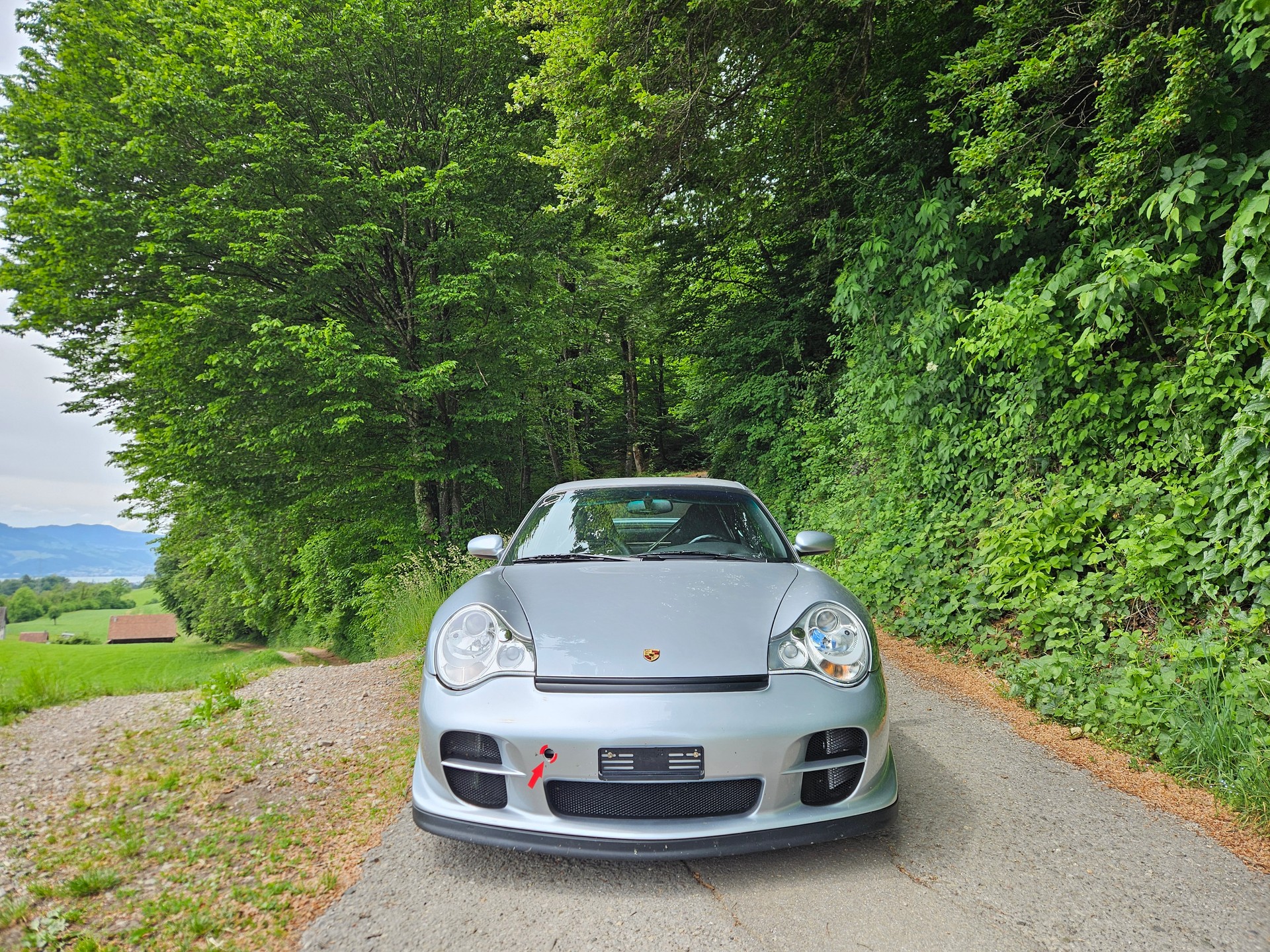 PORSCHE 3.6 Turbo-image-3