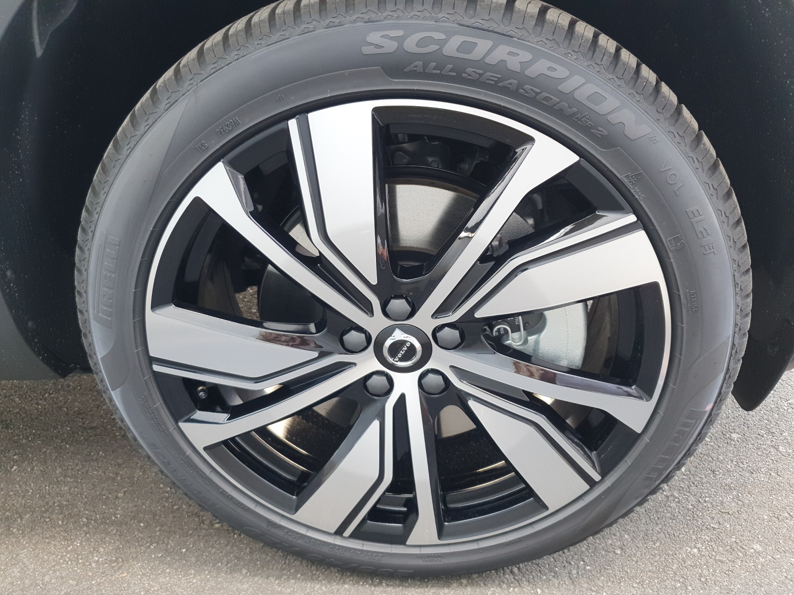 VOLVO XC40 P6 Pro-image-11