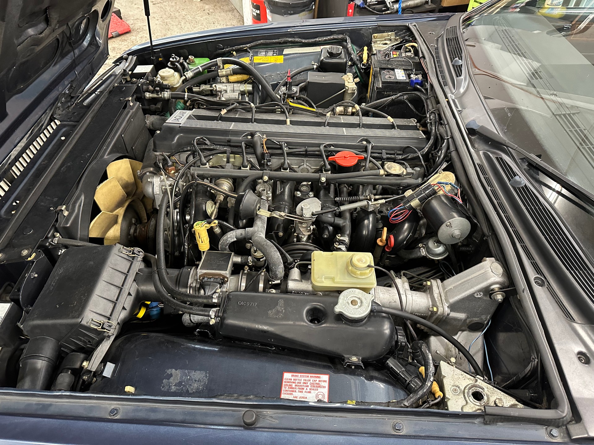 JAGUAR XJ6 3.6 Sovereign-image-11