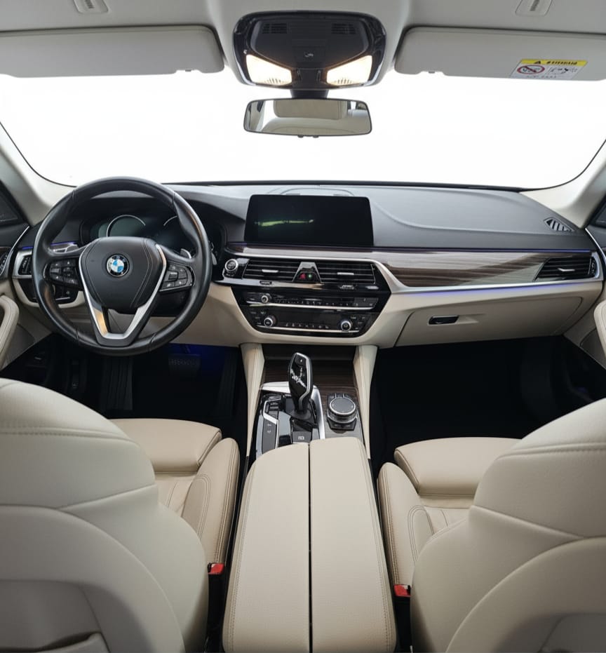 BMW 530i xDrive Luxury Line Steptronic-image-6