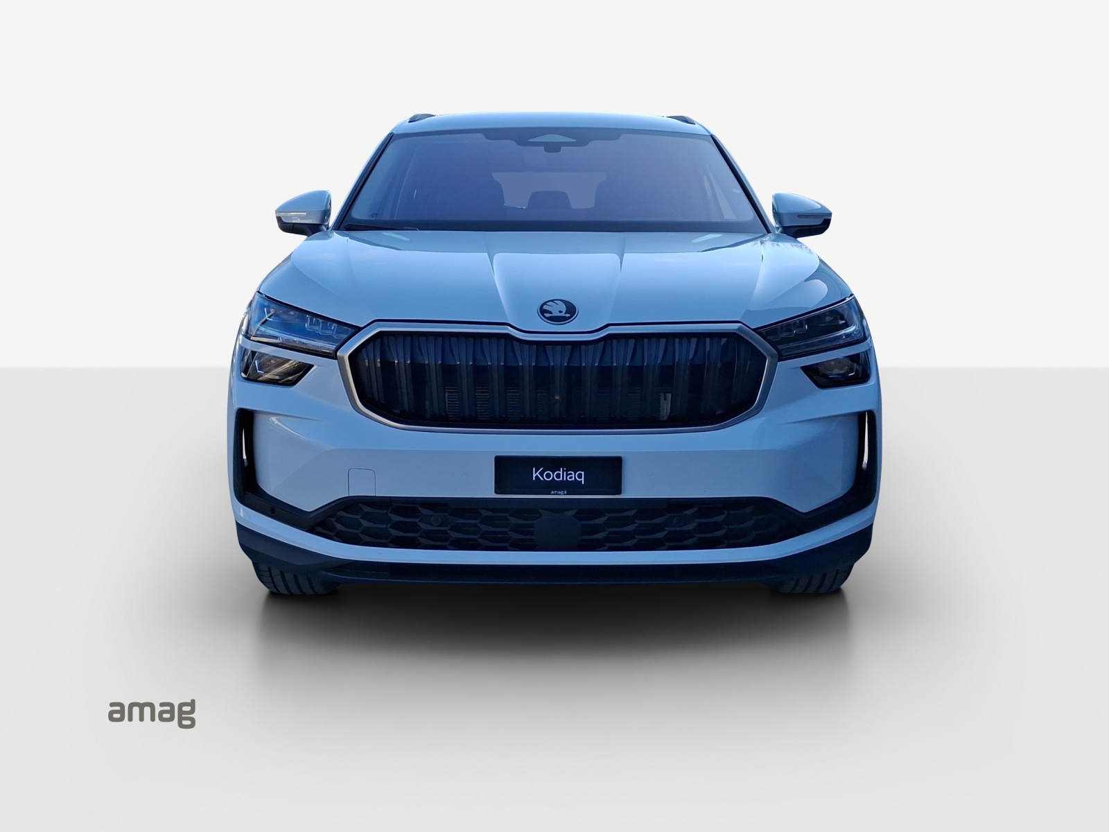 SKODA Kodiaq 2.0 TDI Dynamic 4x4-image-6