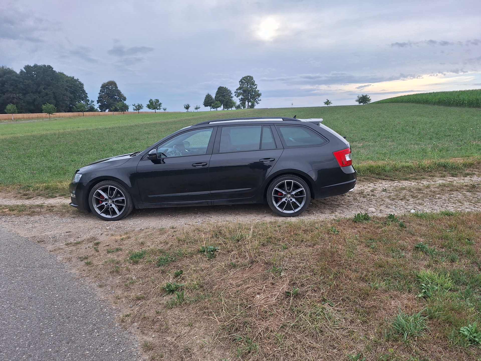 SKODA 2.0 TDI 184 RS 4x4 DSG-image-2