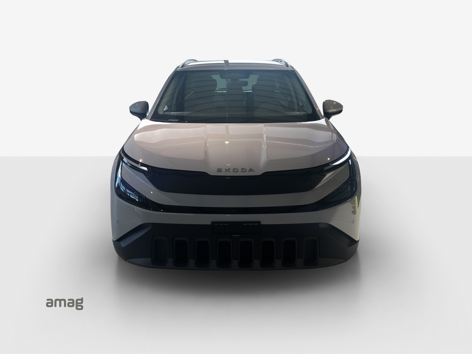 SKODA Epiq 55 Selection-image-5