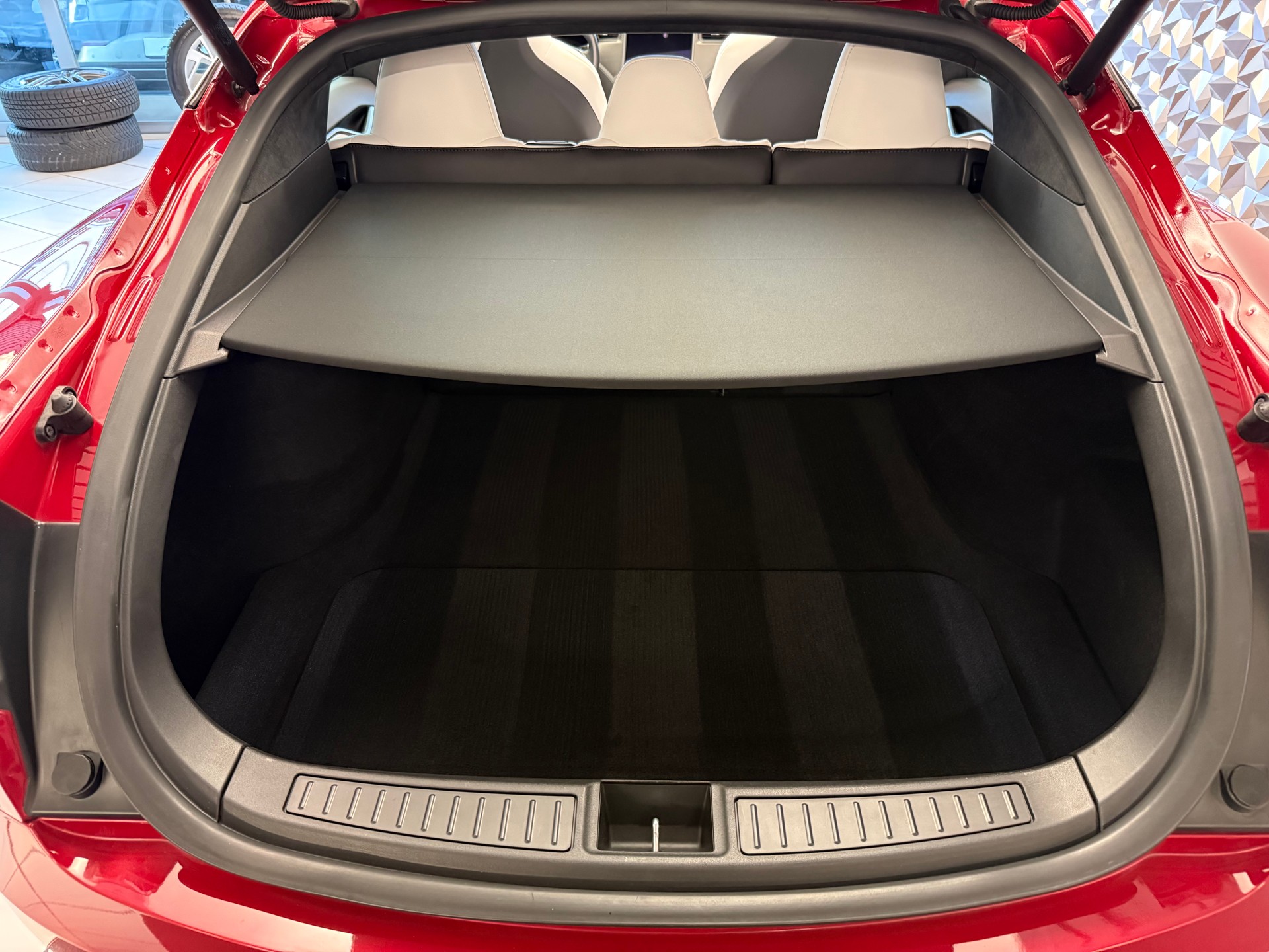 TESLA Model S 100 D Performance-image-13