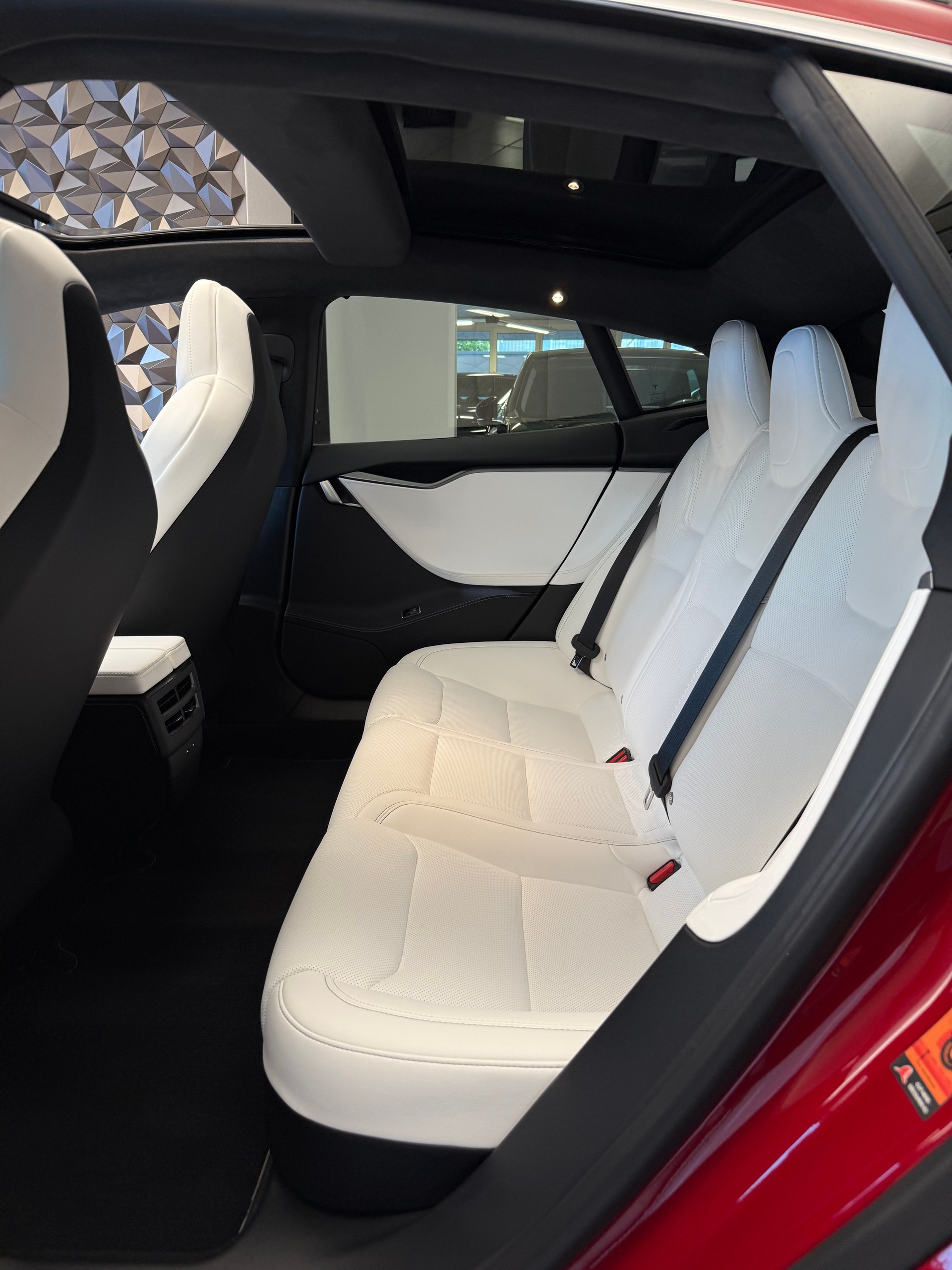 TESLA Model S 100 D Performance-image-11