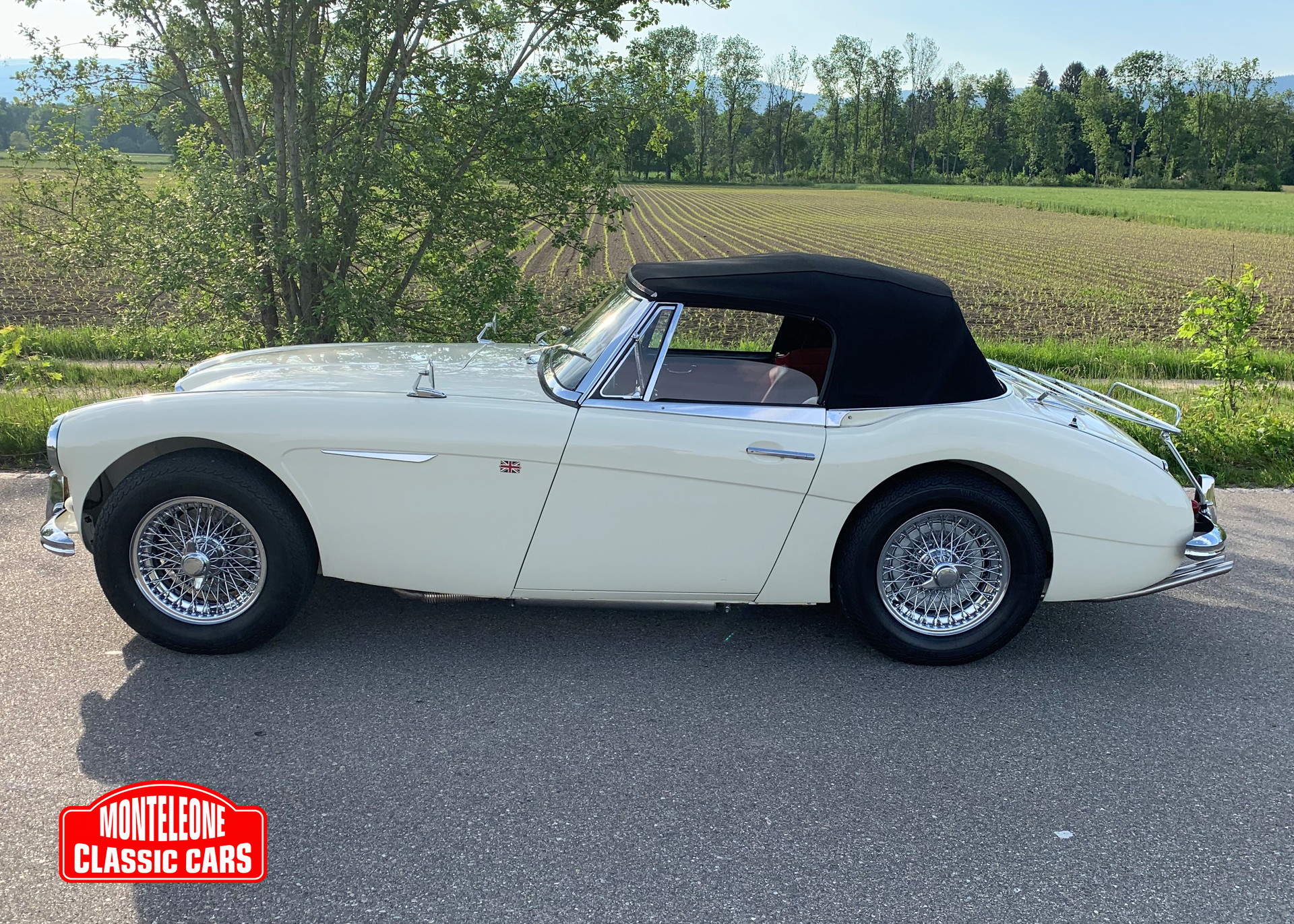 AUSTIN-HEALEY 3000 Mk III-image-1