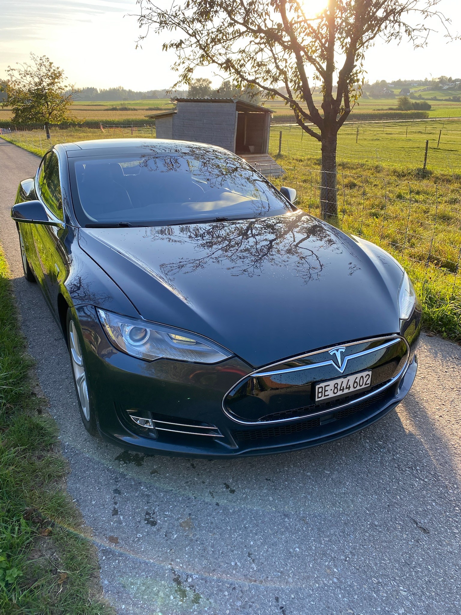 TESLA 85-image-0