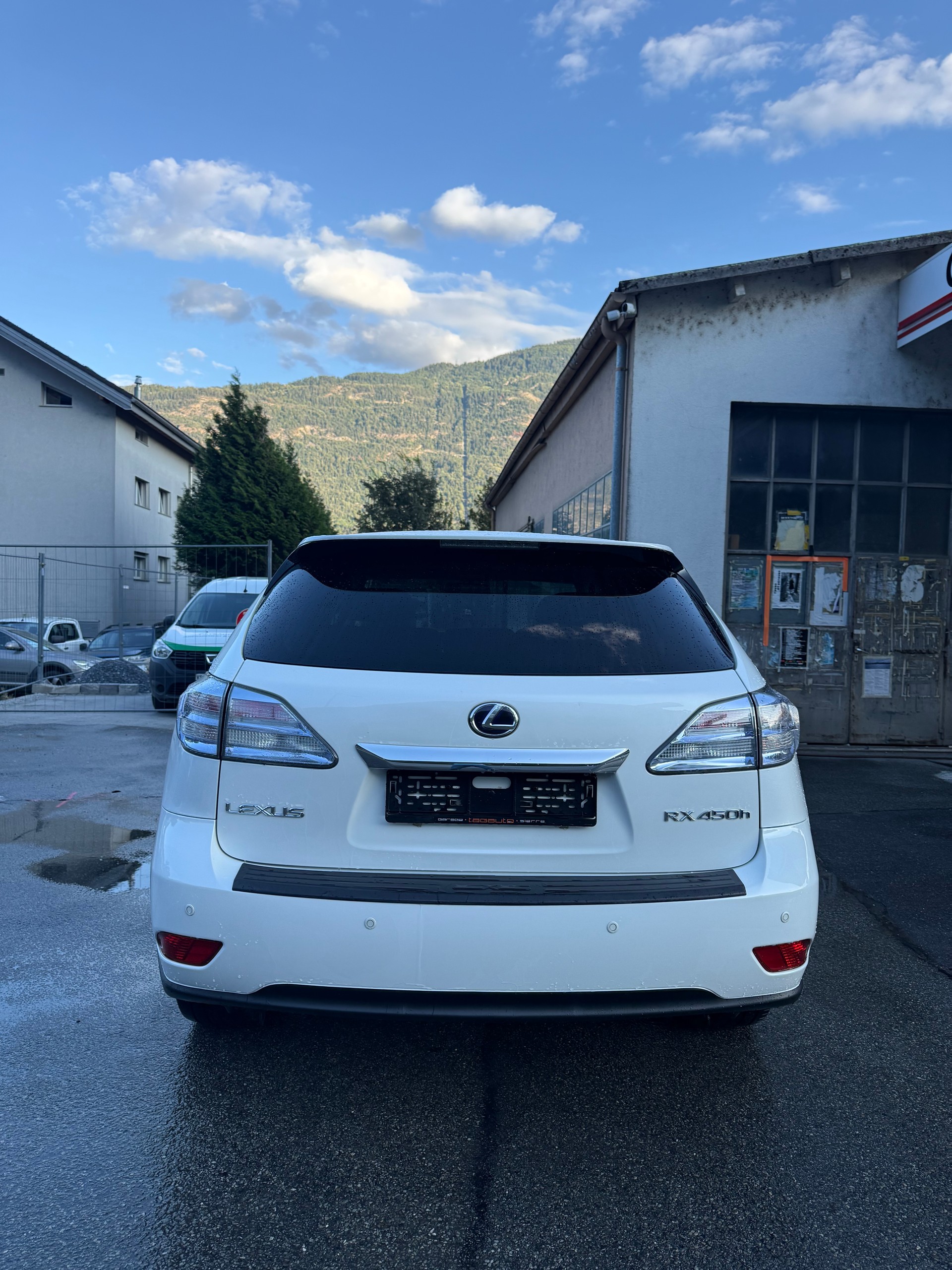LEXUS RX 450h Executive AWD Automatic-image-8