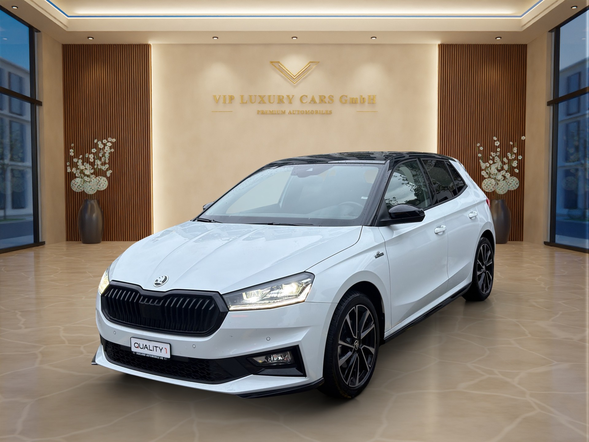SKODA Fabia 1.5 TSI Monte Carlo DSG-image-1