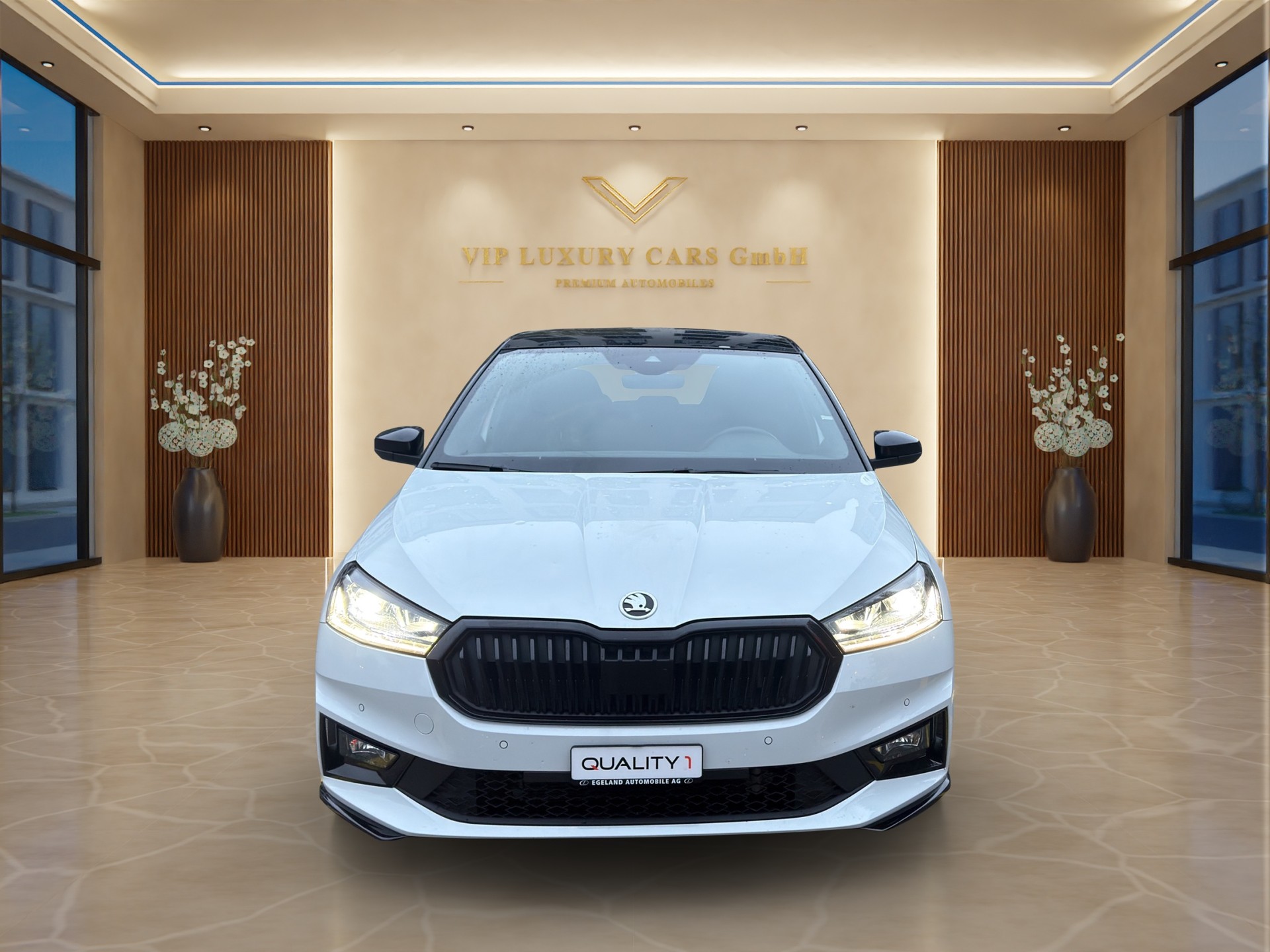SKODA Fabia 1.5 TSI Monte Carlo DSG-image-2