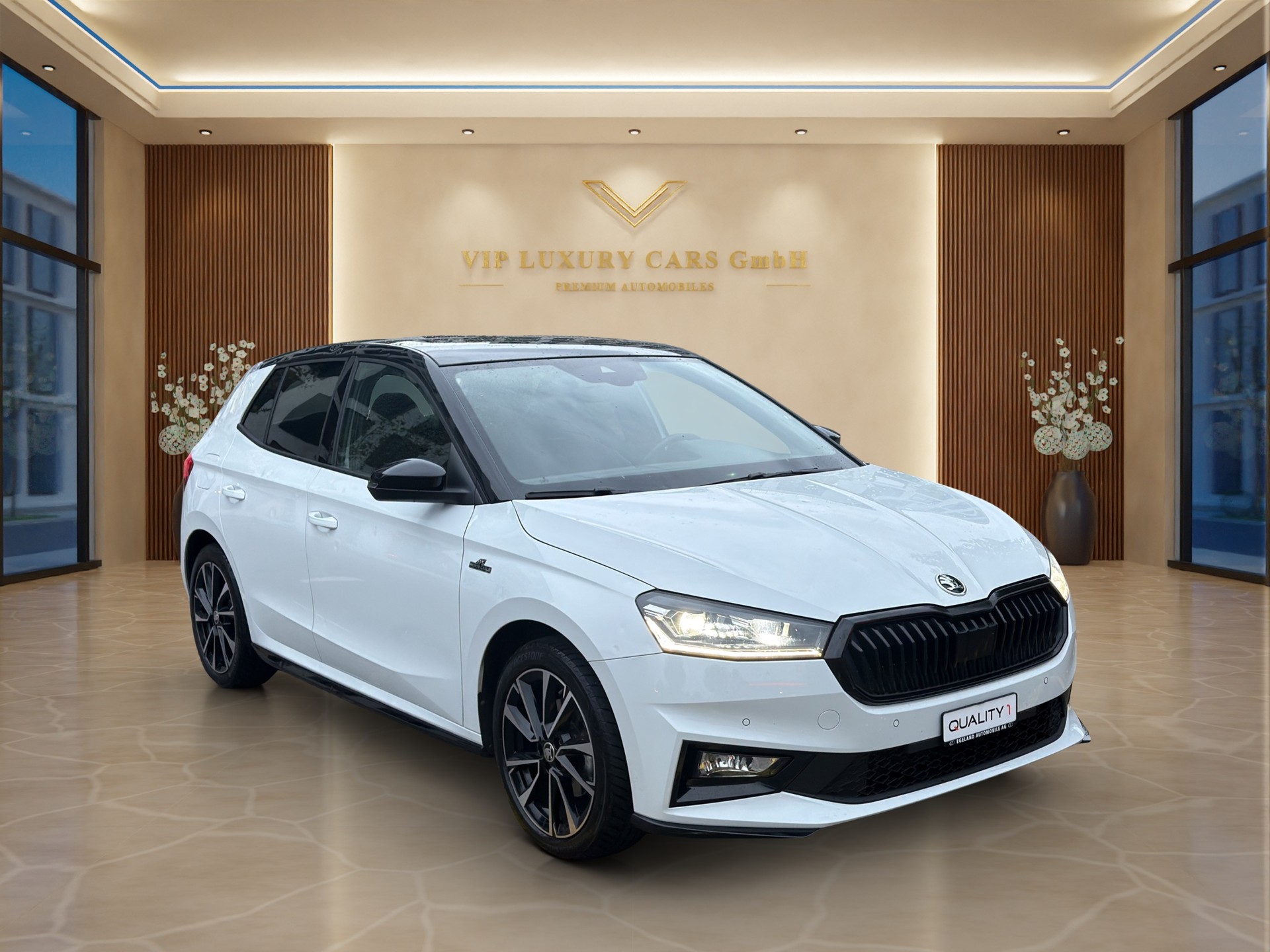 SKODA Fabia 1.5 TSI Monte Carlo DSG-image-3
