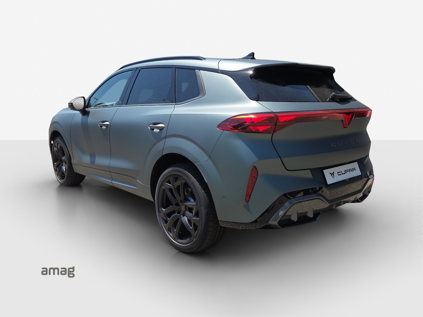 CUPRA Terramar 2.0 TSI DSG 4Drive VZ Americas CUP-image-2