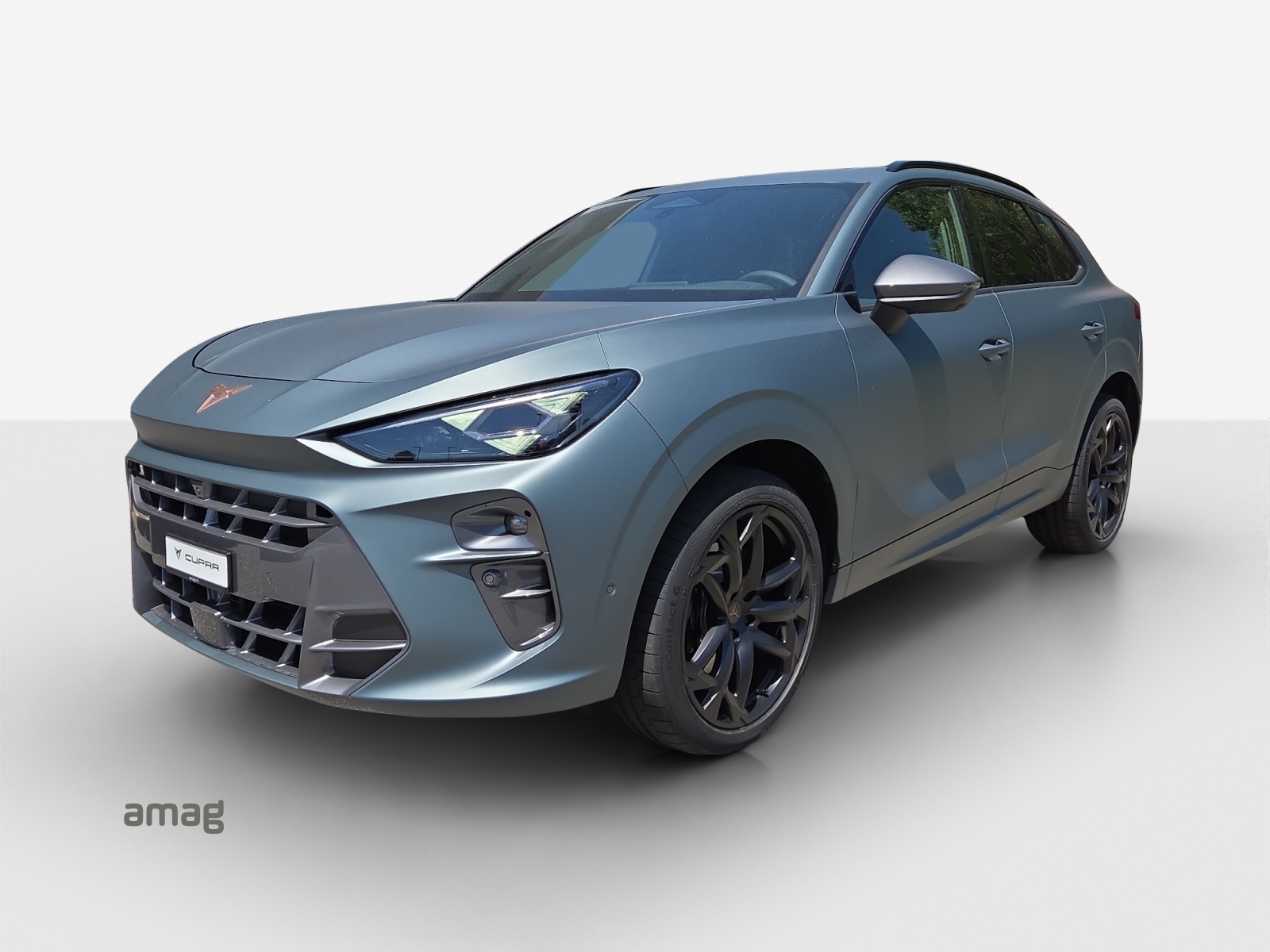 CUPRA Terramar 2.0 TSI DSG 4Drive VZ Americas CUP-image-0