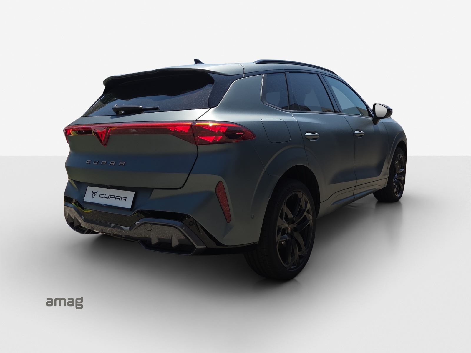 CUPRA Terramar 2.0 TSI DSG 4Drive VZ Americas CUP-image-4