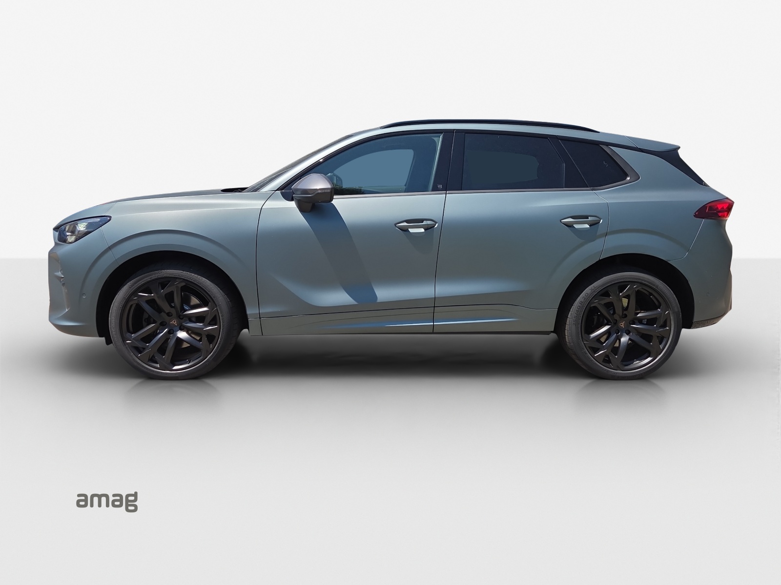 CUPRA Terramar 2.0 TSI DSG 4Drive VZ Americas CUP-image-1